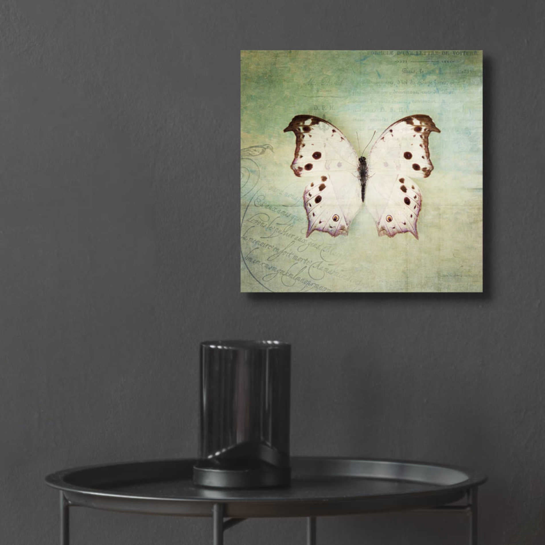 Epic Art 'French Butterfly IV' by Debra Van Swearingen, Acrylic Glass Wall Art,12x12
