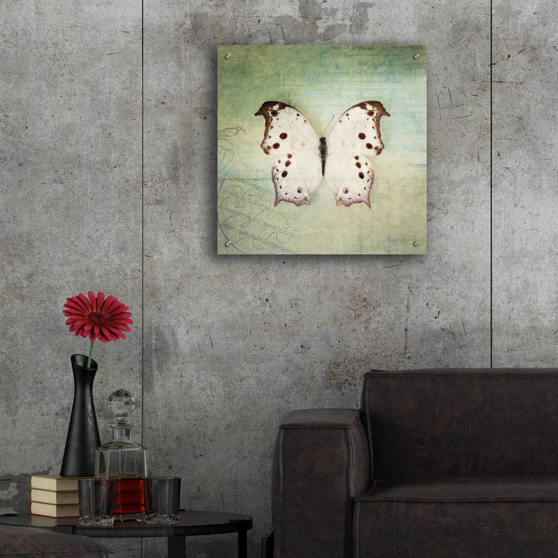Epic Art 'French Butterfly IV' by Debra Van Swearingen, Acrylic Glass Wall Art,24x24