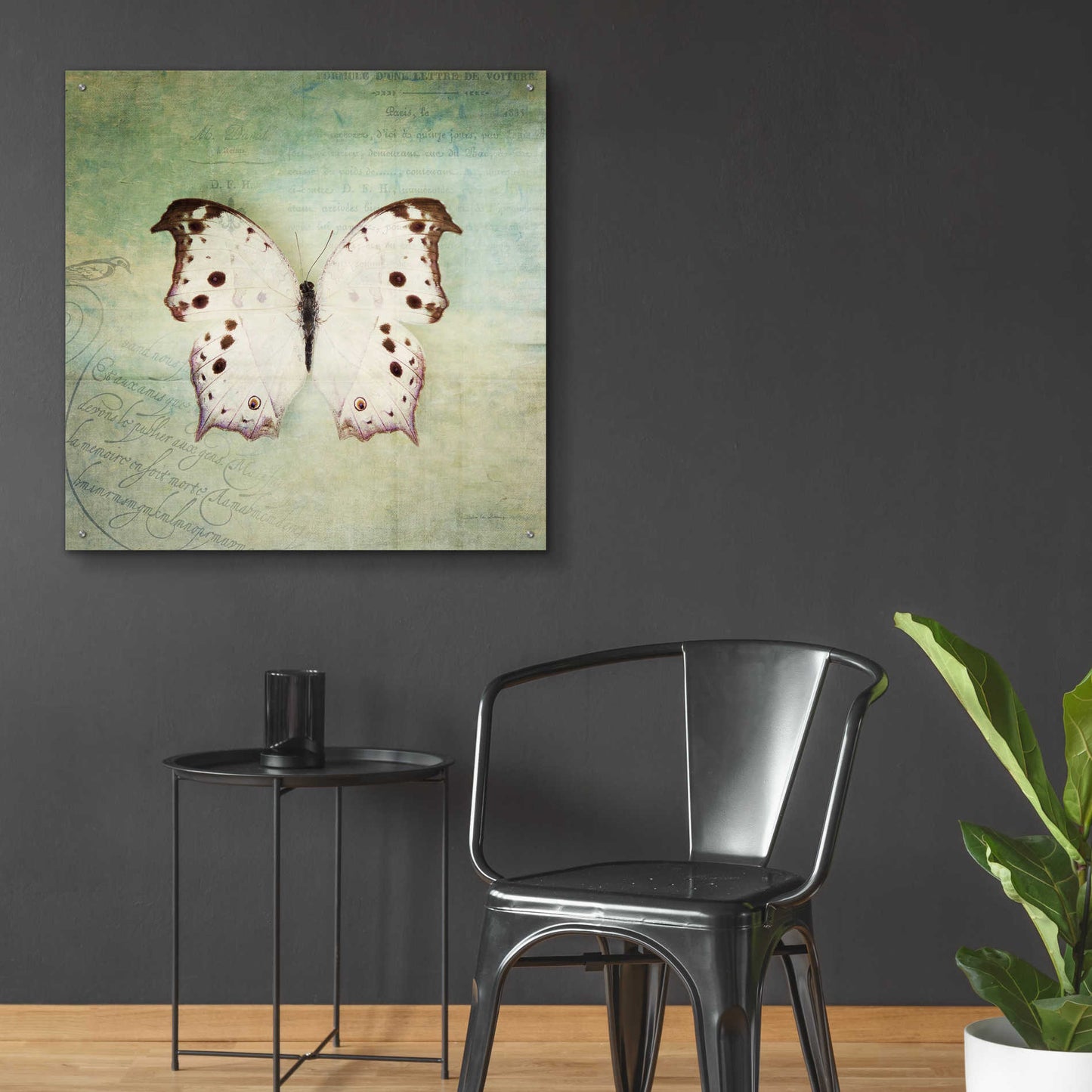 Epic Art 'French Butterfly IV' by Debra Van Swearingen, Acrylic Glass Wall Art,36x36