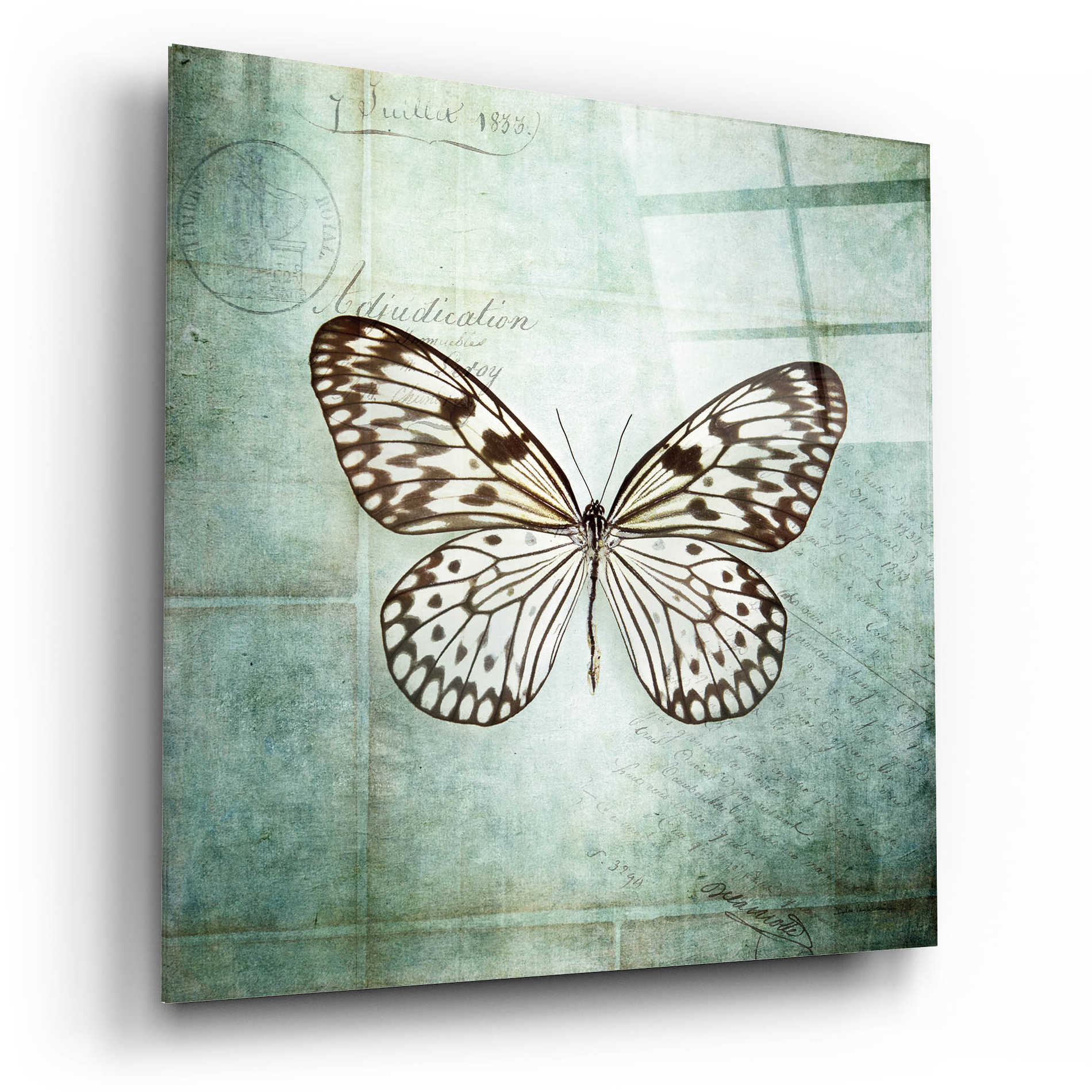 Epic Art 'French Butterfly V' by Debra Van Swearingen, Acrylic Glass Wall Art,12x12