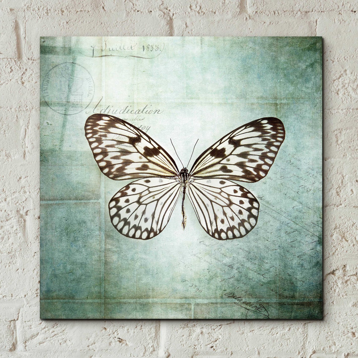 Epic Art 'French Butterfly V' by Debra Van Swearingen, Acrylic Glass Wall Art,12x12