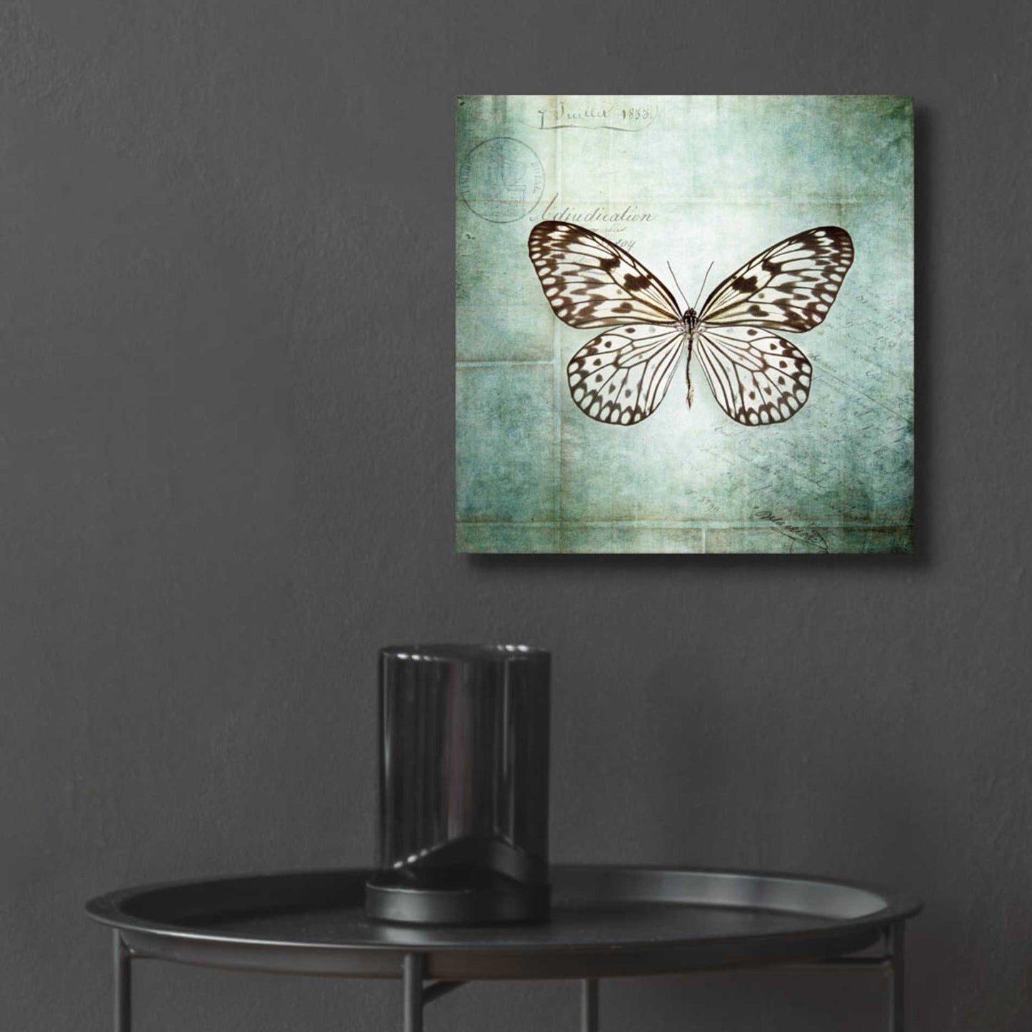 Epic Art 'French Butterfly V' by Debra Van Swearingen, Acrylic Glass Wall Art,12x12