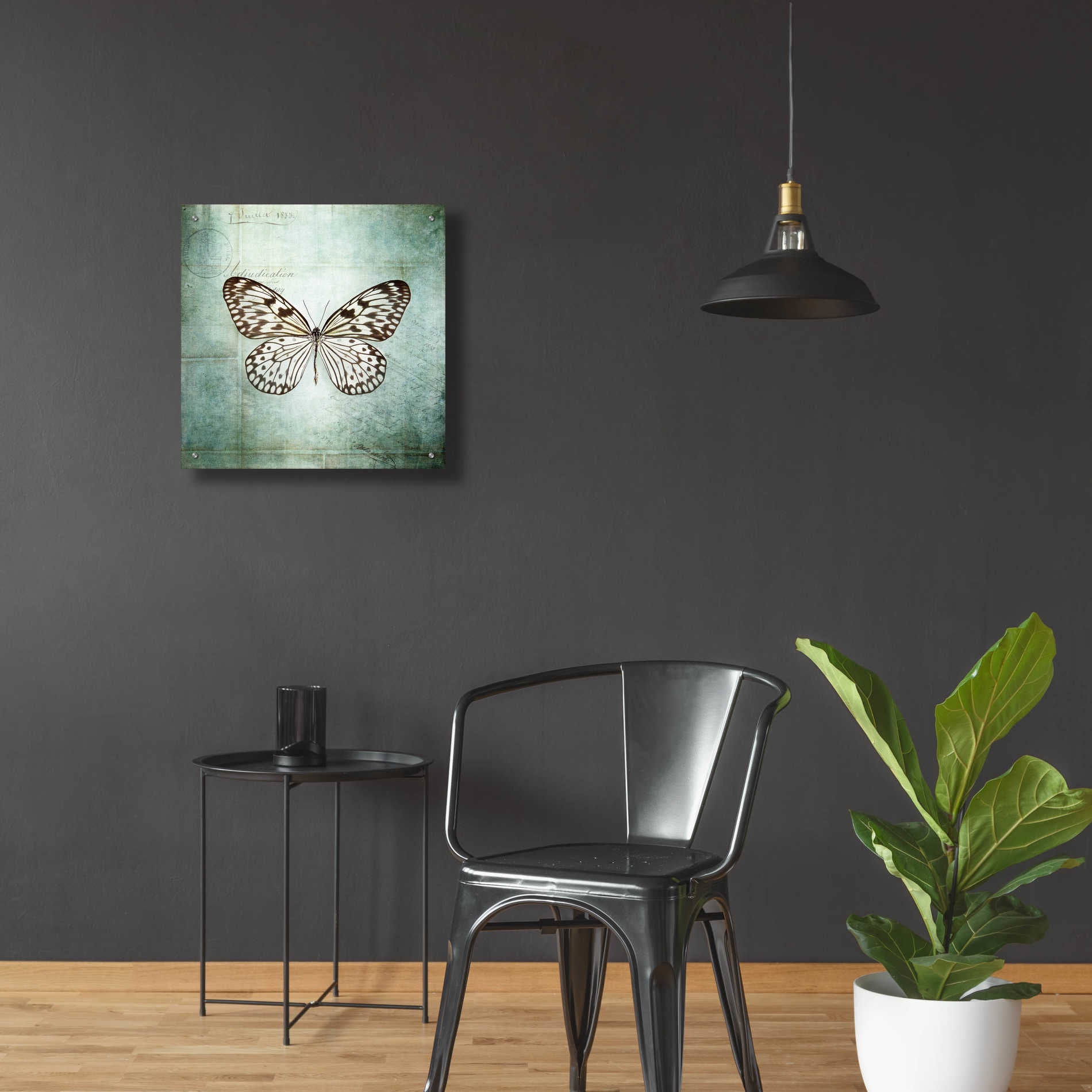 Epic Art 'French Butterfly V' by Debra Van Swearingen, Acrylic Glass Wall Art,24x24