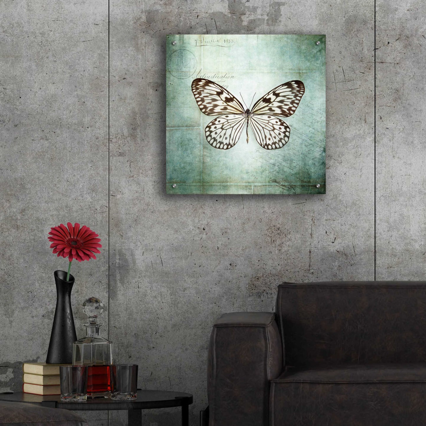 Epic Art 'French Butterfly V' by Debra Van Swearingen, Acrylic Glass Wall Art,24x24