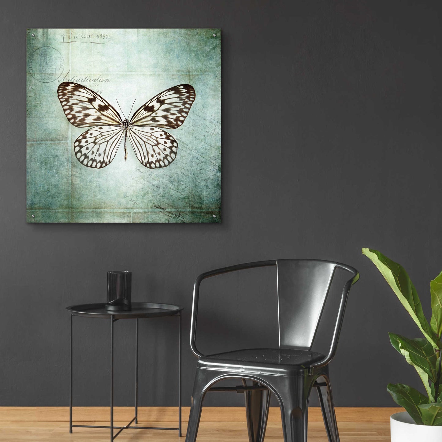 Epic Art 'French Butterfly V' by Debra Van Swearingen, Acrylic Glass Wall Art,36x36