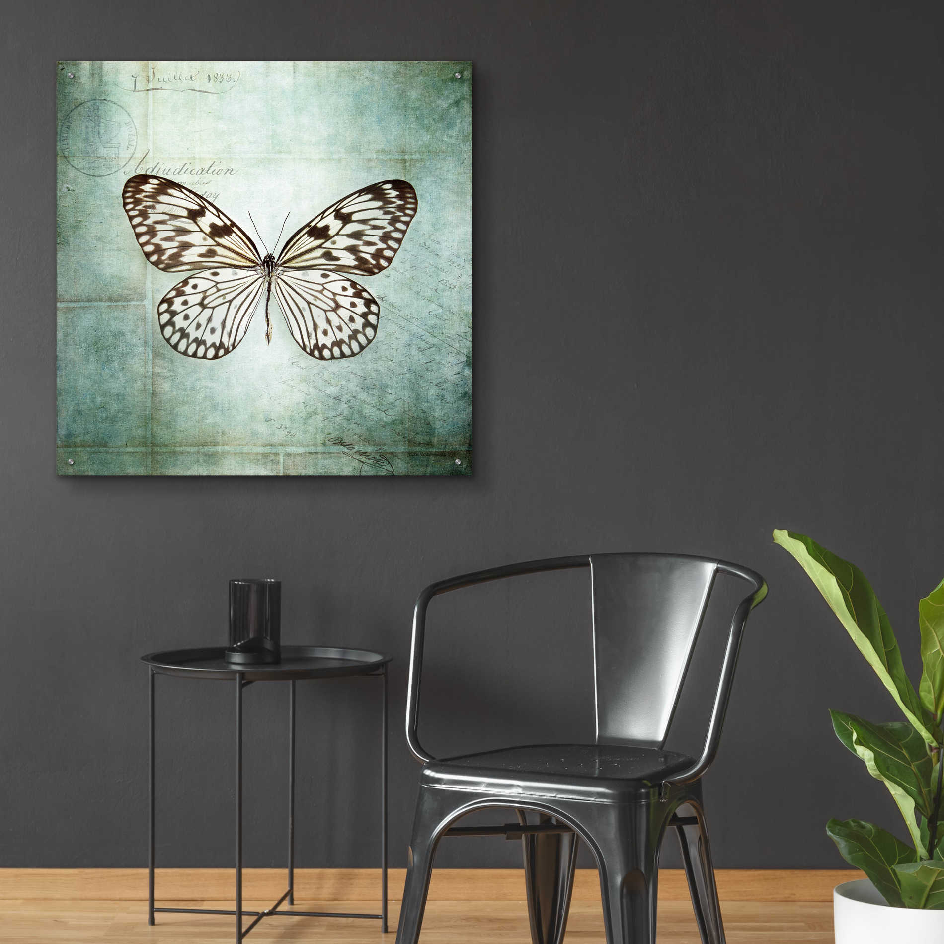 Epic Art 'French Butterfly V' by Debra Van Swearingen, Acrylic Glass Wall Art,36x36