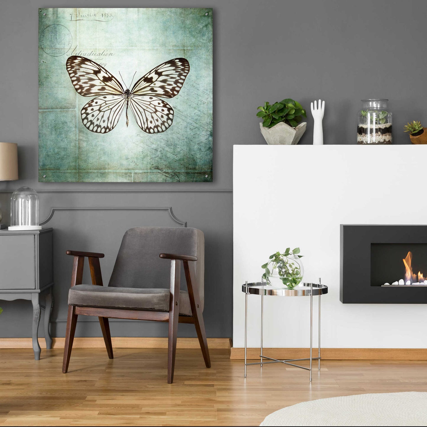 Epic Art 'French Butterfly V' by Debra Van Swearingen, Acrylic Glass Wall Art,36x36