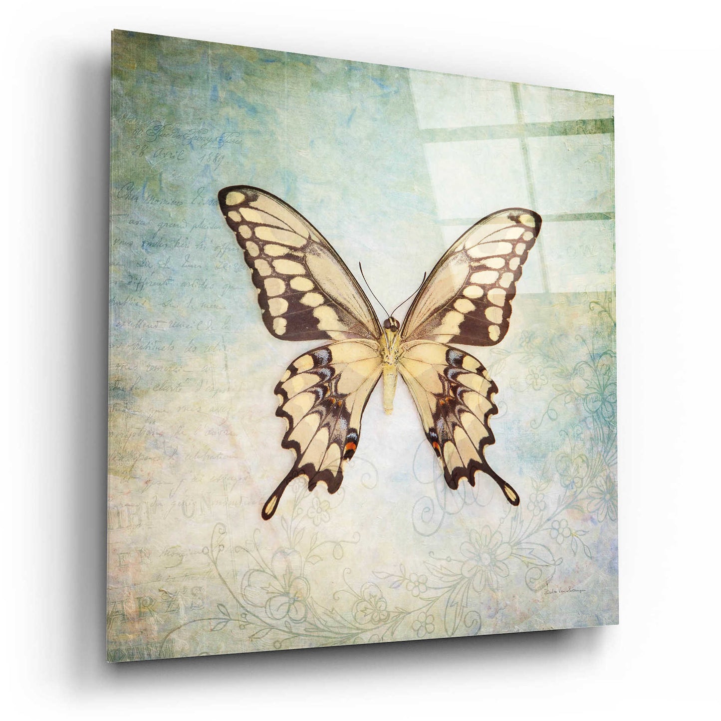 Epic Art 'French Butterfly VI' by Debra Van Swearingen, Acrylic Glass Wall Art,12x12