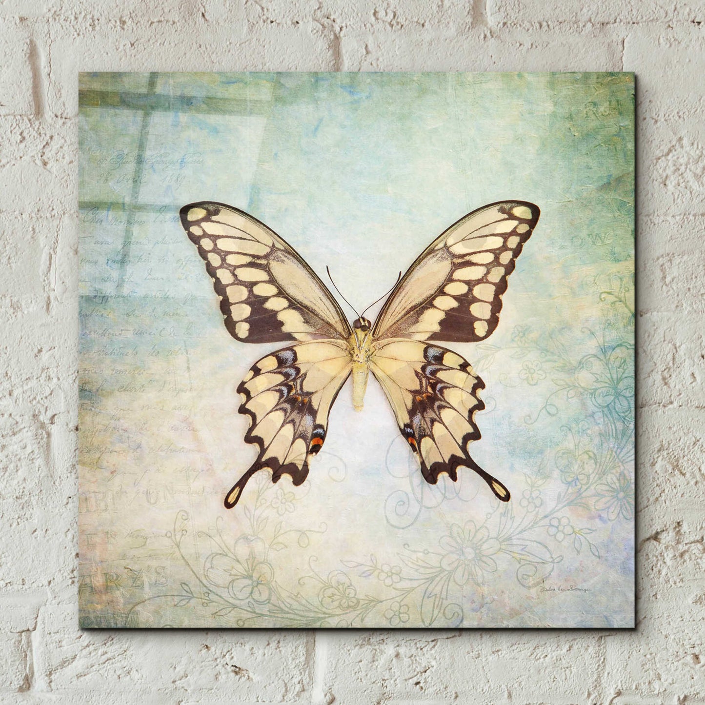 Epic Art 'French Butterfly VI' by Debra Van Swearingen, Acrylic Glass Wall Art,12x12