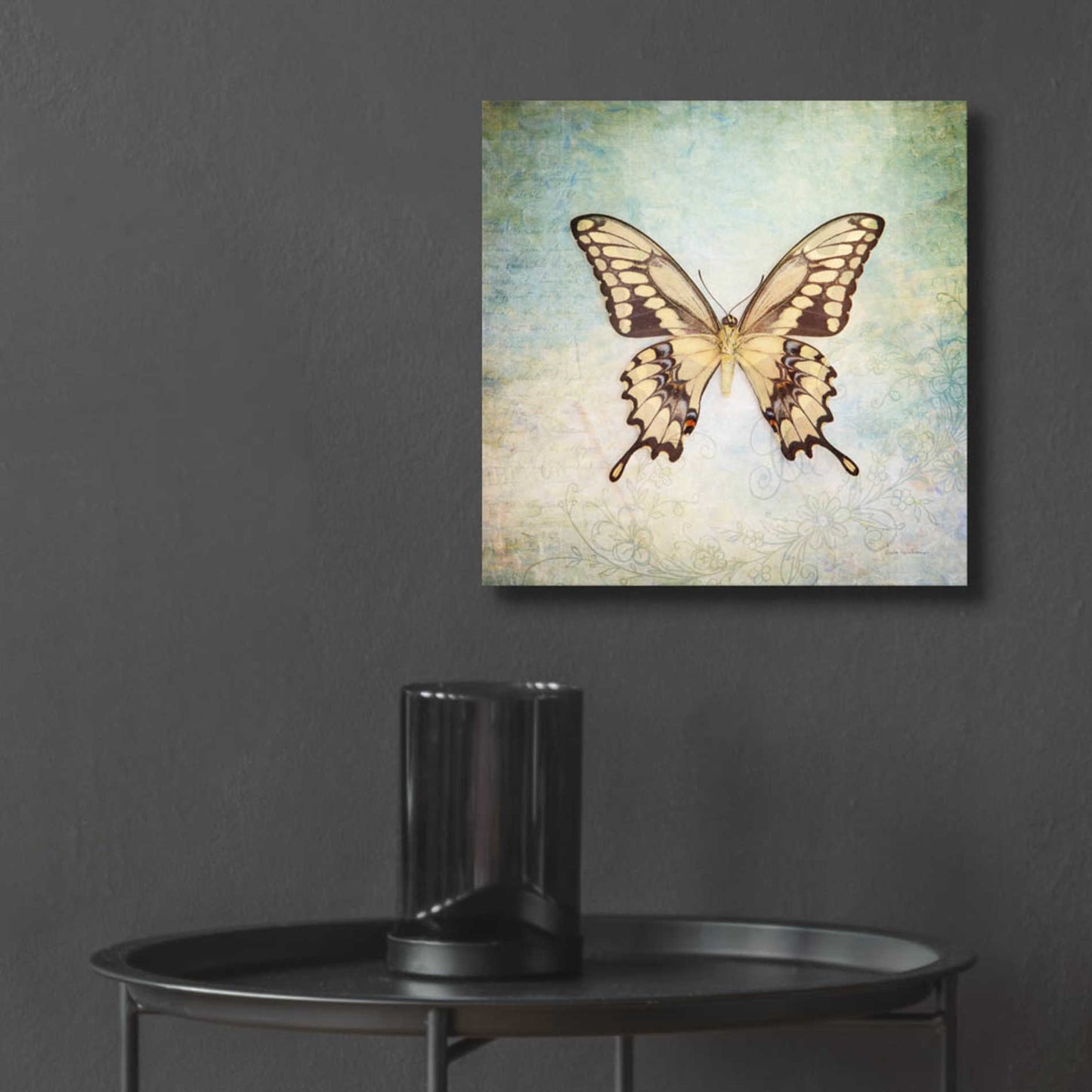 Epic Art 'French Butterfly VI' by Debra Van Swearingen, Acrylic Glass Wall Art,12x12