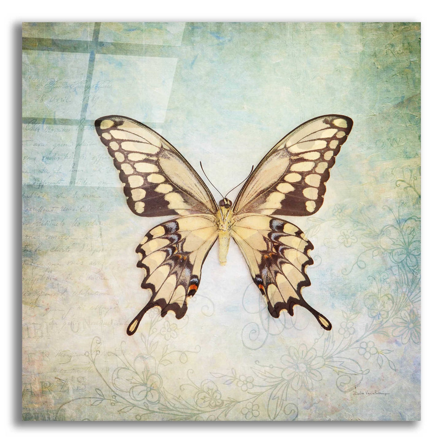 Epic Art 'French Butterfly VI' by Debra Van Swearingen, Acrylic Glass Wall Art,12x12