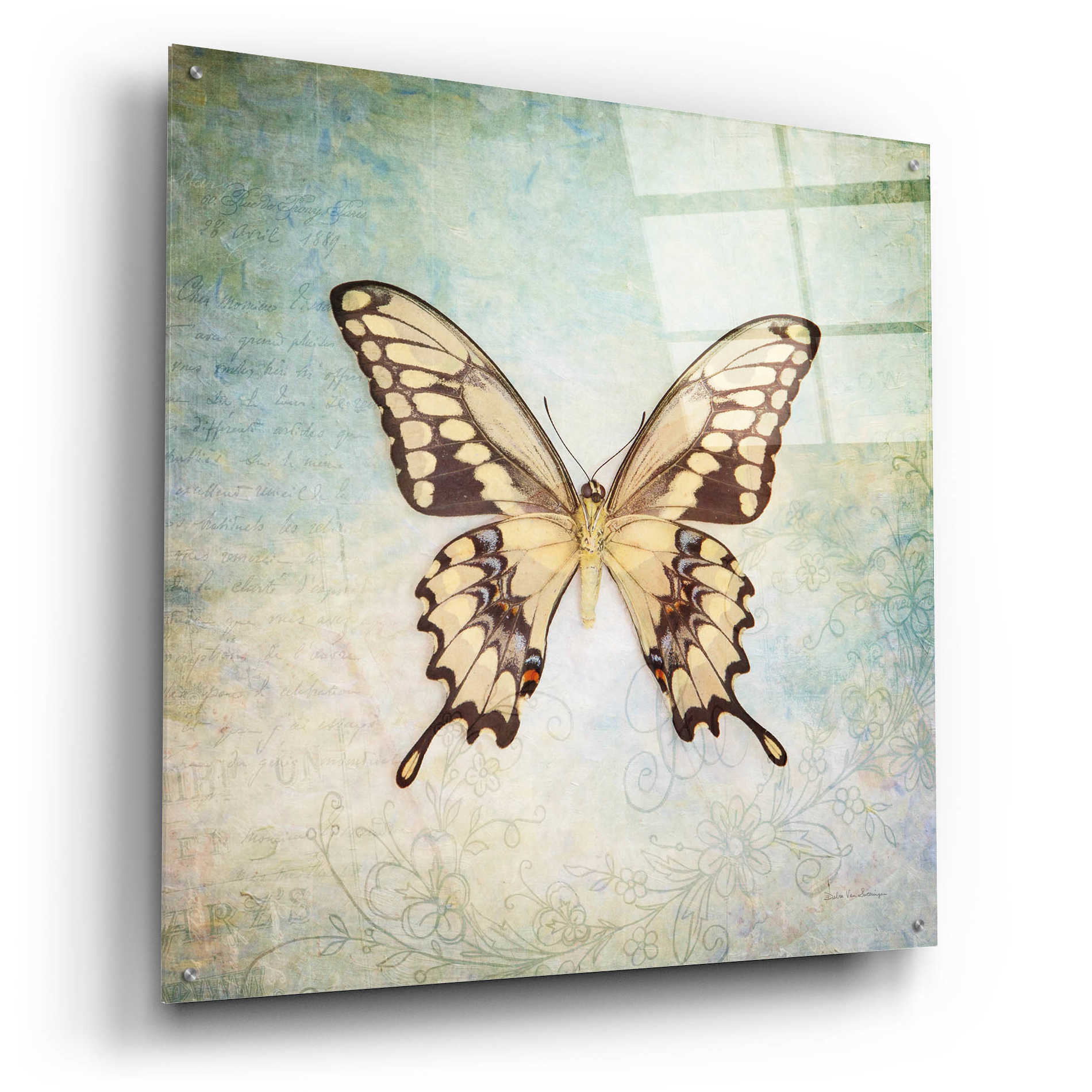 Epic Art 'French Butterfly VI' by Debra Van Swearingen, Acrylic Glass Wall Art,36x36