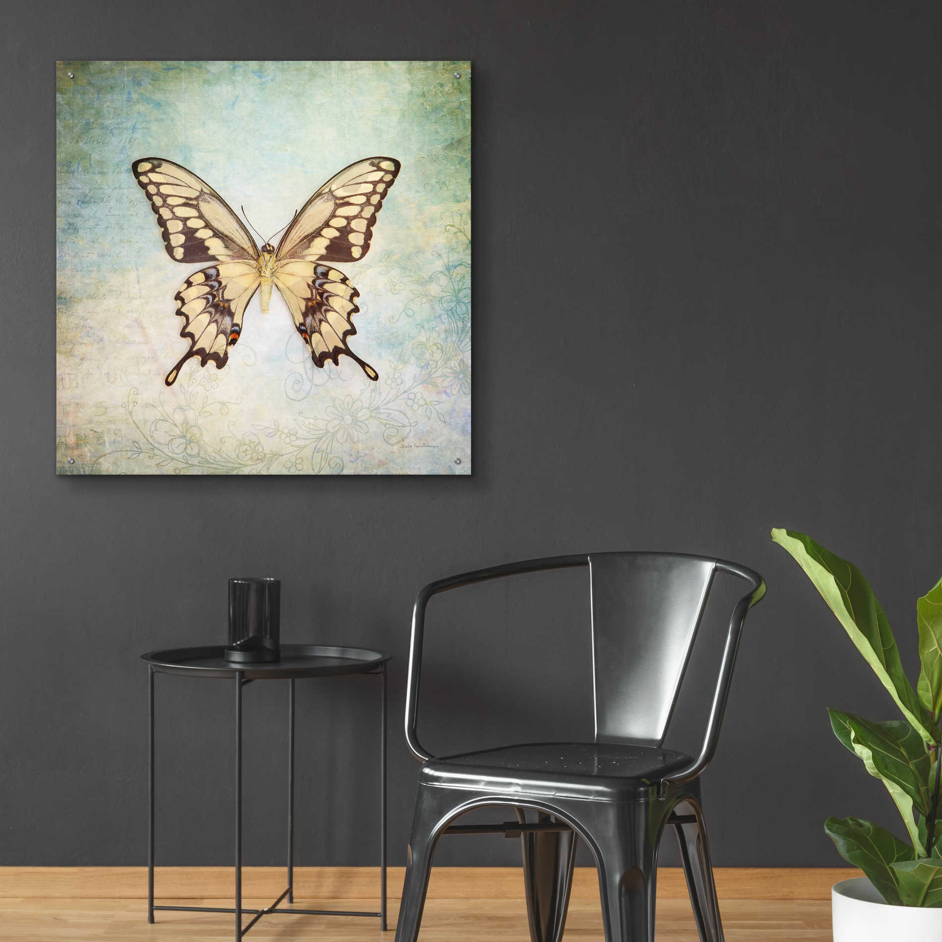 Epic Art 'French Butterfly VI' by Debra Van Swearingen, Acrylic Glass Wall Art,36x36