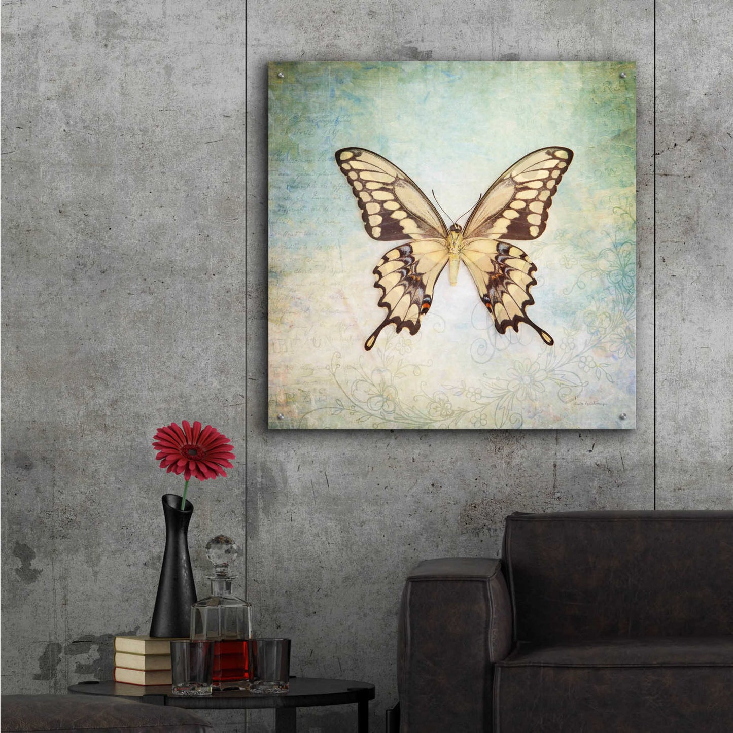 Epic Art 'French Butterfly VI' by Debra Van Swearingen, Acrylic Glass Wall Art,36x36