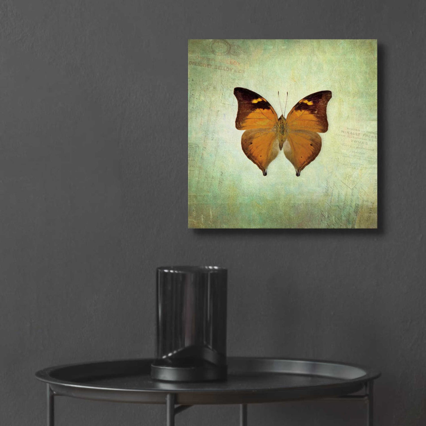 Epic Art 'French Butterfly VII' by Debra Van Swearingen, Acrylic Glass Wall Art,12x12