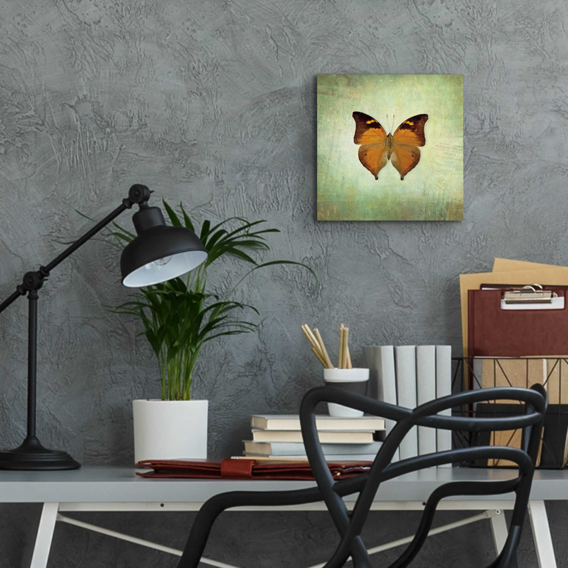 Epic Art 'French Butterfly VII' by Debra Van Swearingen, Acrylic Glass Wall Art,12x12