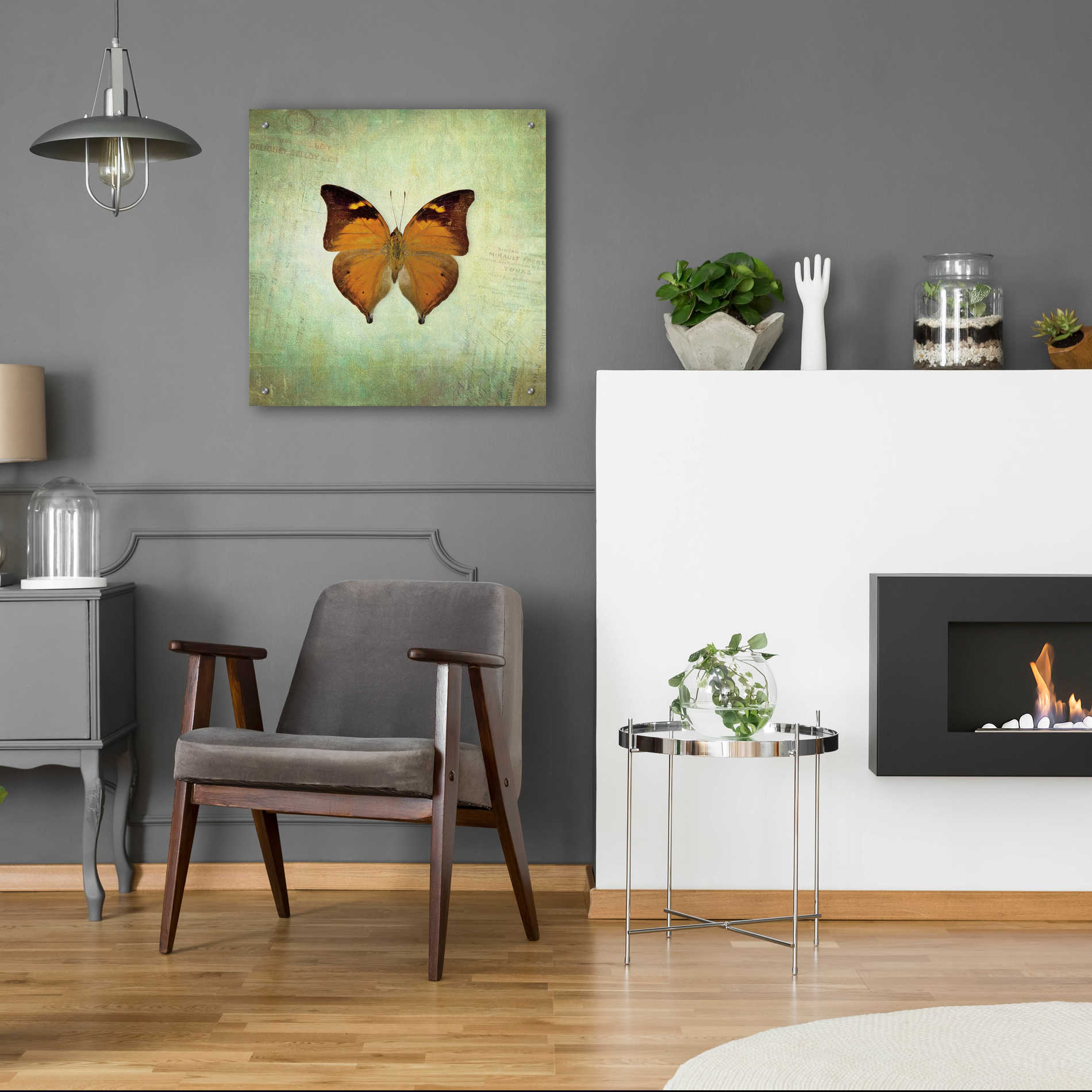 Epic Art 'French Butterfly VII' by Debra Van Swearingen, Acrylic Glass Wall Art,24x24