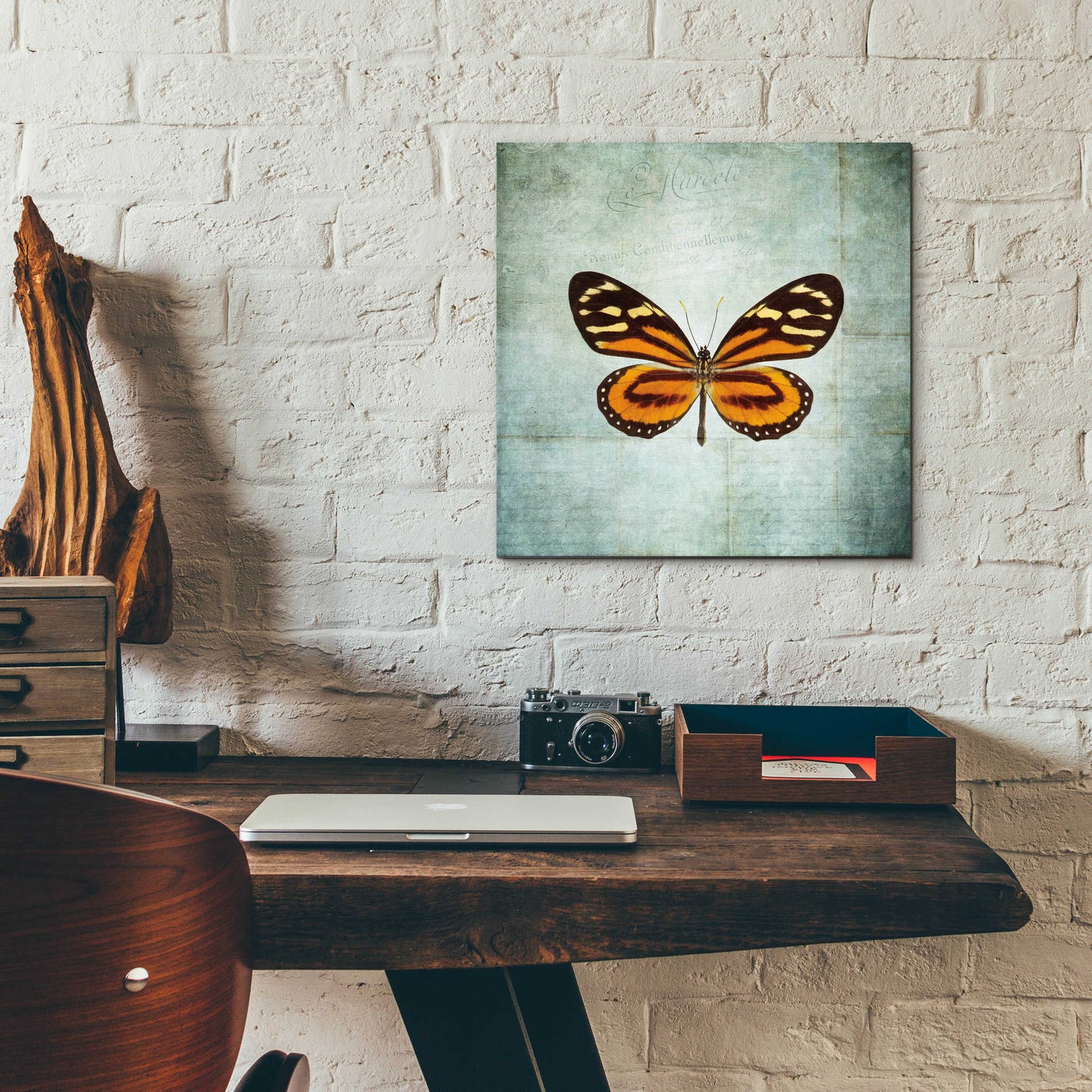 Epic Art 'French Butterfly VIII' by Debra Van Swearingen, Acrylic Glass Wall Art,12x12