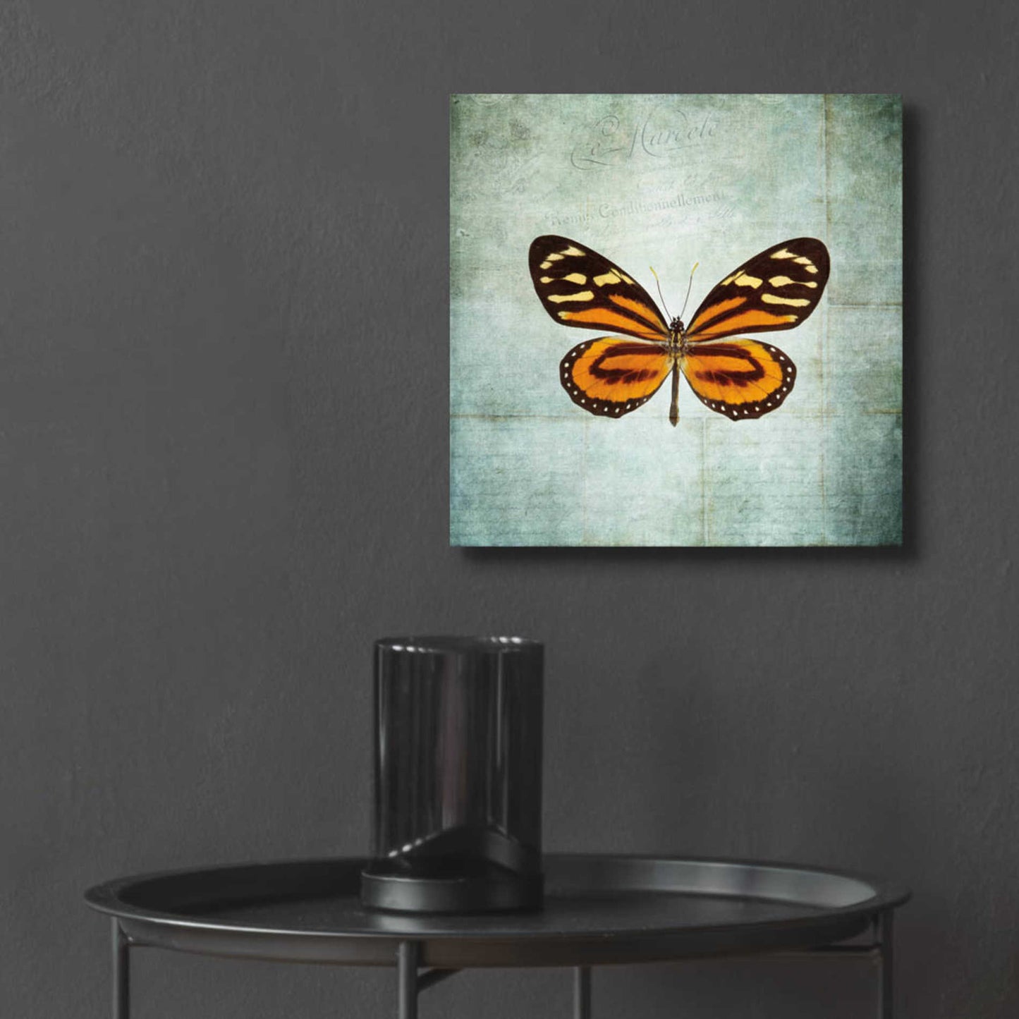 Epic Art 'French Butterfly VIII' by Debra Van Swearingen, Acrylic Glass Wall Art,12x12