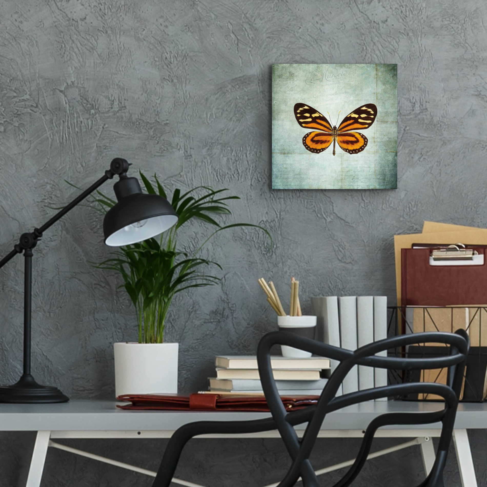 Epic Art 'French Butterfly VIII' by Debra Van Swearingen, Acrylic Glass Wall Art,12x12