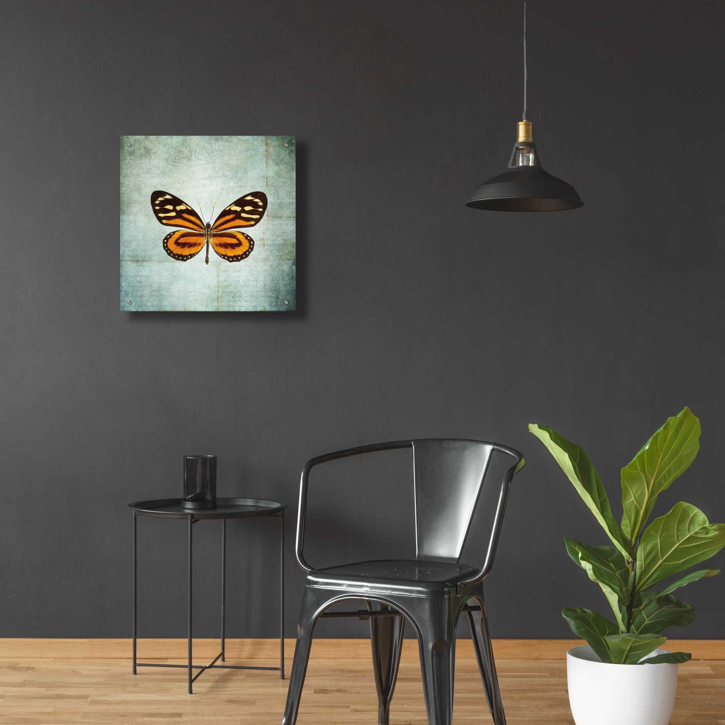 Epic Art 'French Butterfly VIII' by Debra Van Swearingen, Acrylic Glass Wall Art,24x24