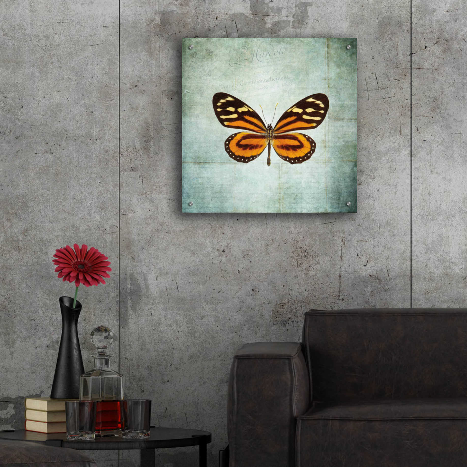 Epic Art 'French Butterfly VIII' by Debra Van Swearingen, Acrylic Glass Wall Art,24x24