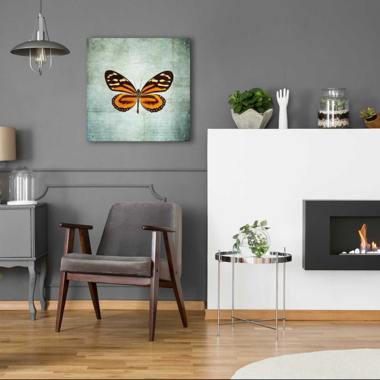 Epic Art 'French Butterfly VIII' by Debra Van Swearingen, Acrylic Glass Wall Art,24x24