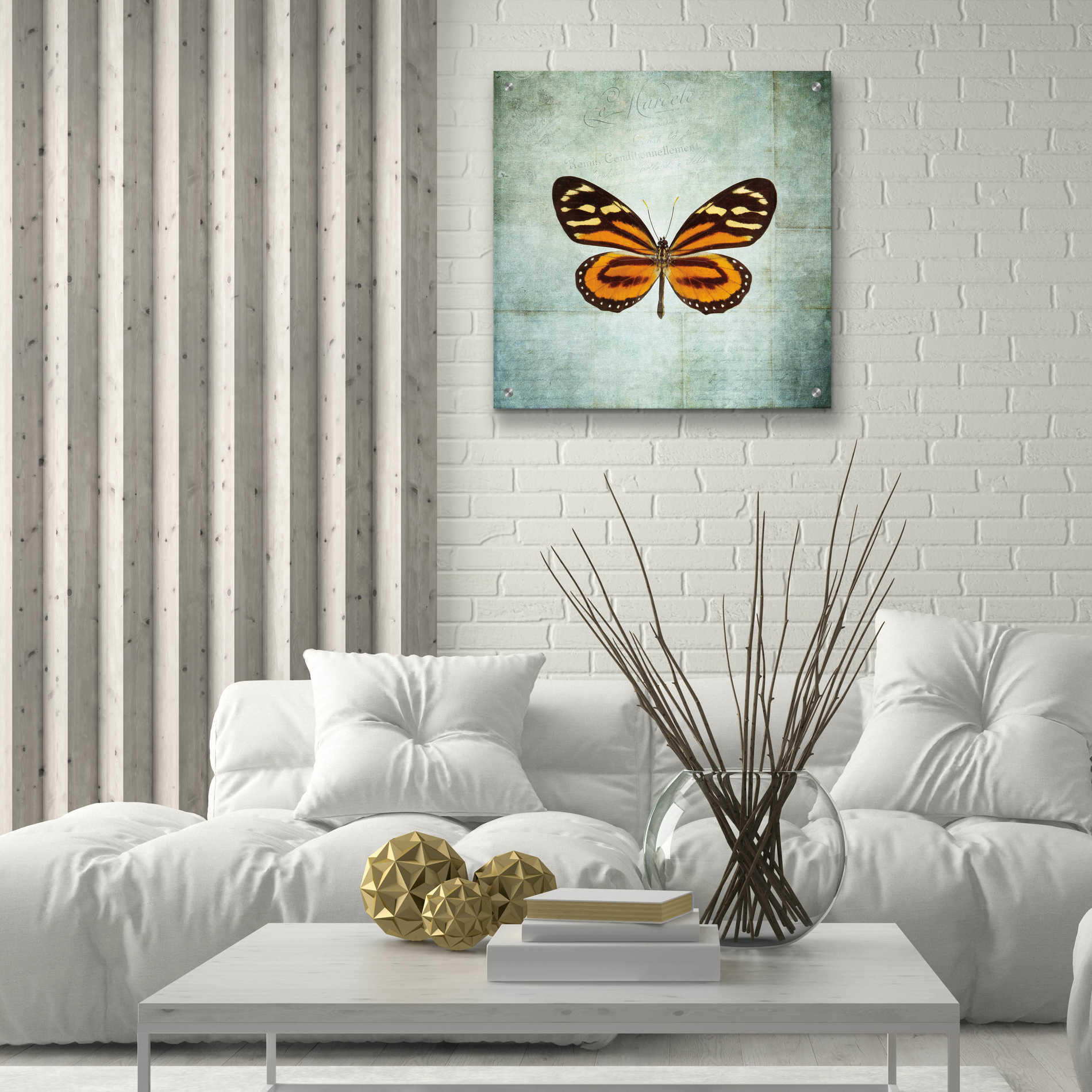 Epic Art 'French Butterfly VIII' by Debra Van Swearingen, Acrylic Glass Wall Art,24x24