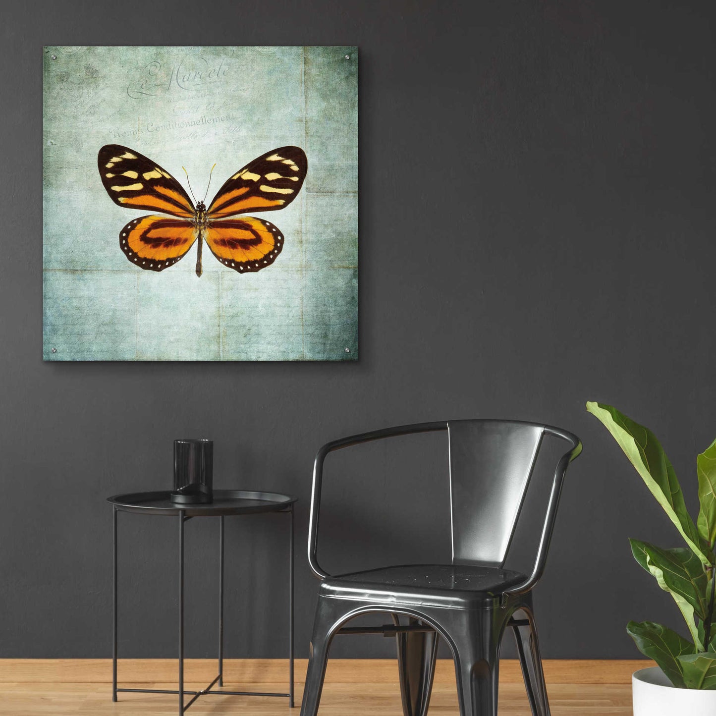 Epic Art 'French Butterfly VIII' by Debra Van Swearingen, Acrylic Glass Wall Art,36x36