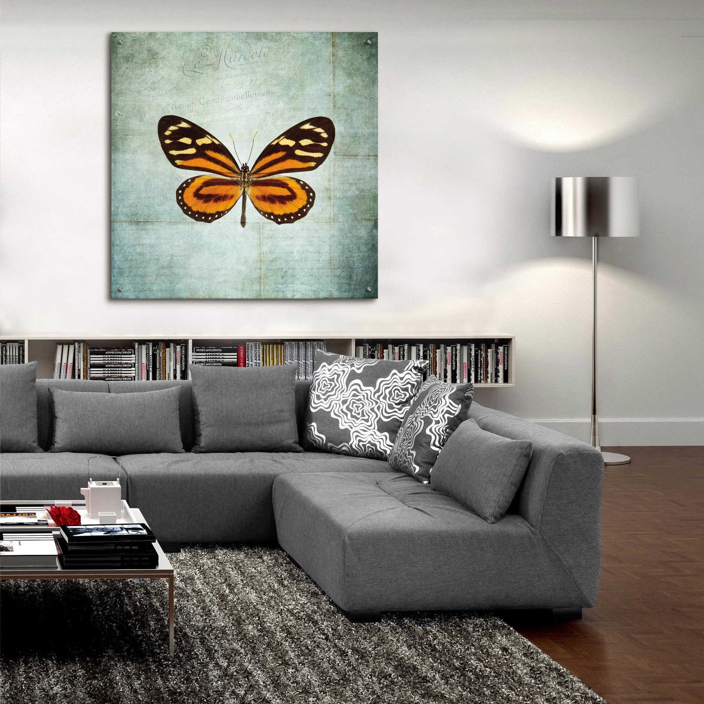 Epic Art 'French Butterfly VIII' by Debra Van Swearingen, Acrylic Glass Wall Art,36x36