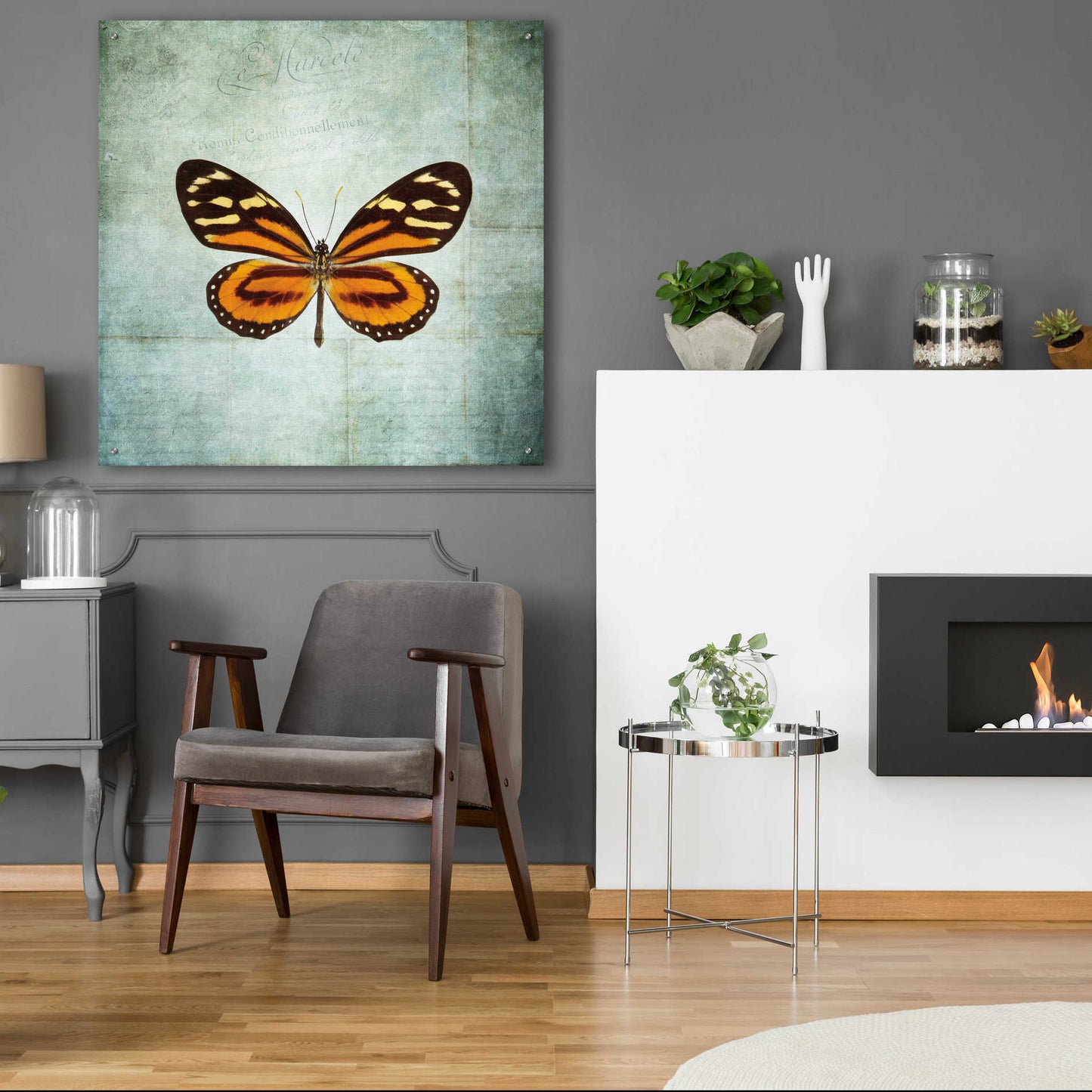 Epic Art 'French Butterfly VIII' by Debra Van Swearingen, Acrylic Glass Wall Art,36x36