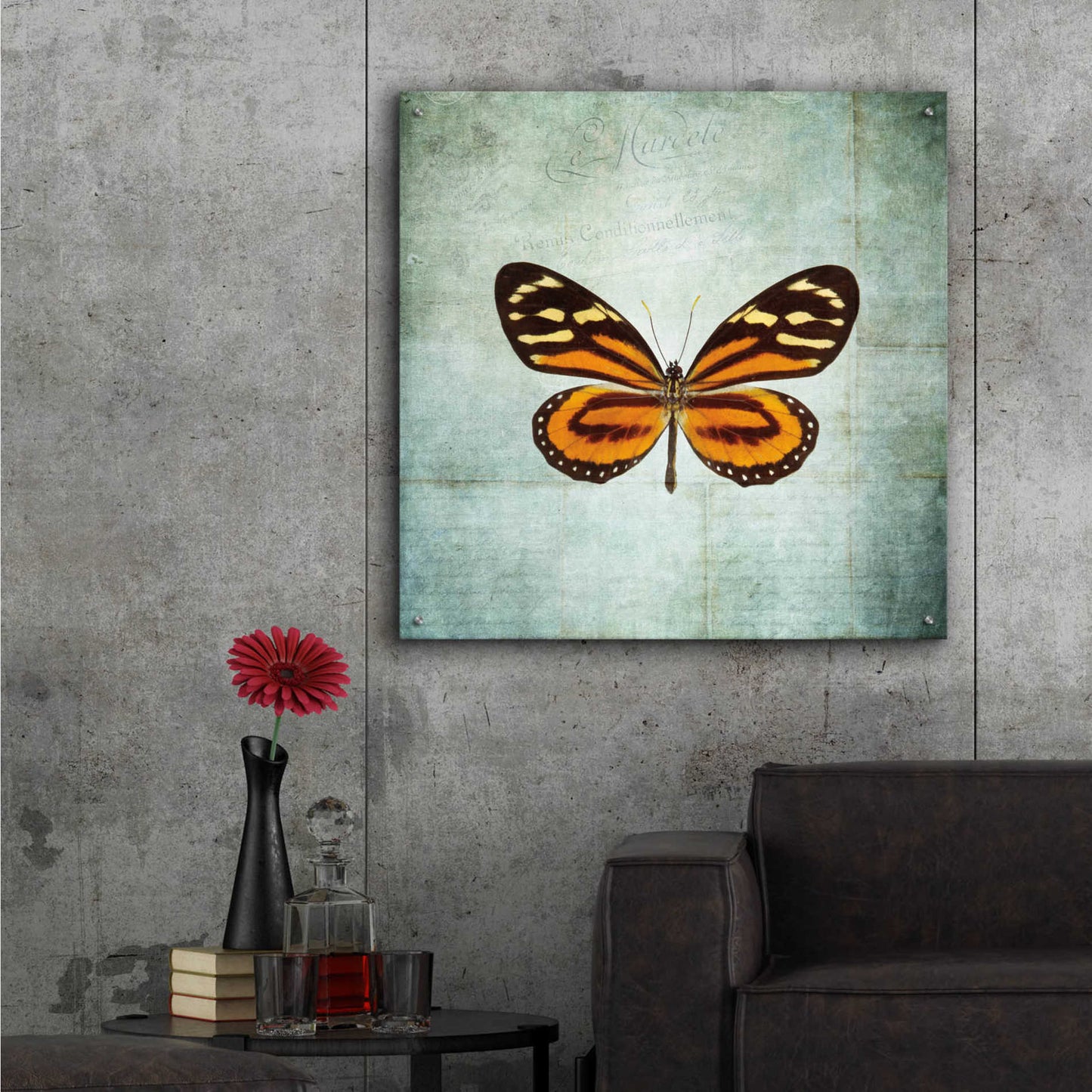 Epic Art 'French Butterfly VIII' by Debra Van Swearingen, Acrylic Glass Wall Art,36x36