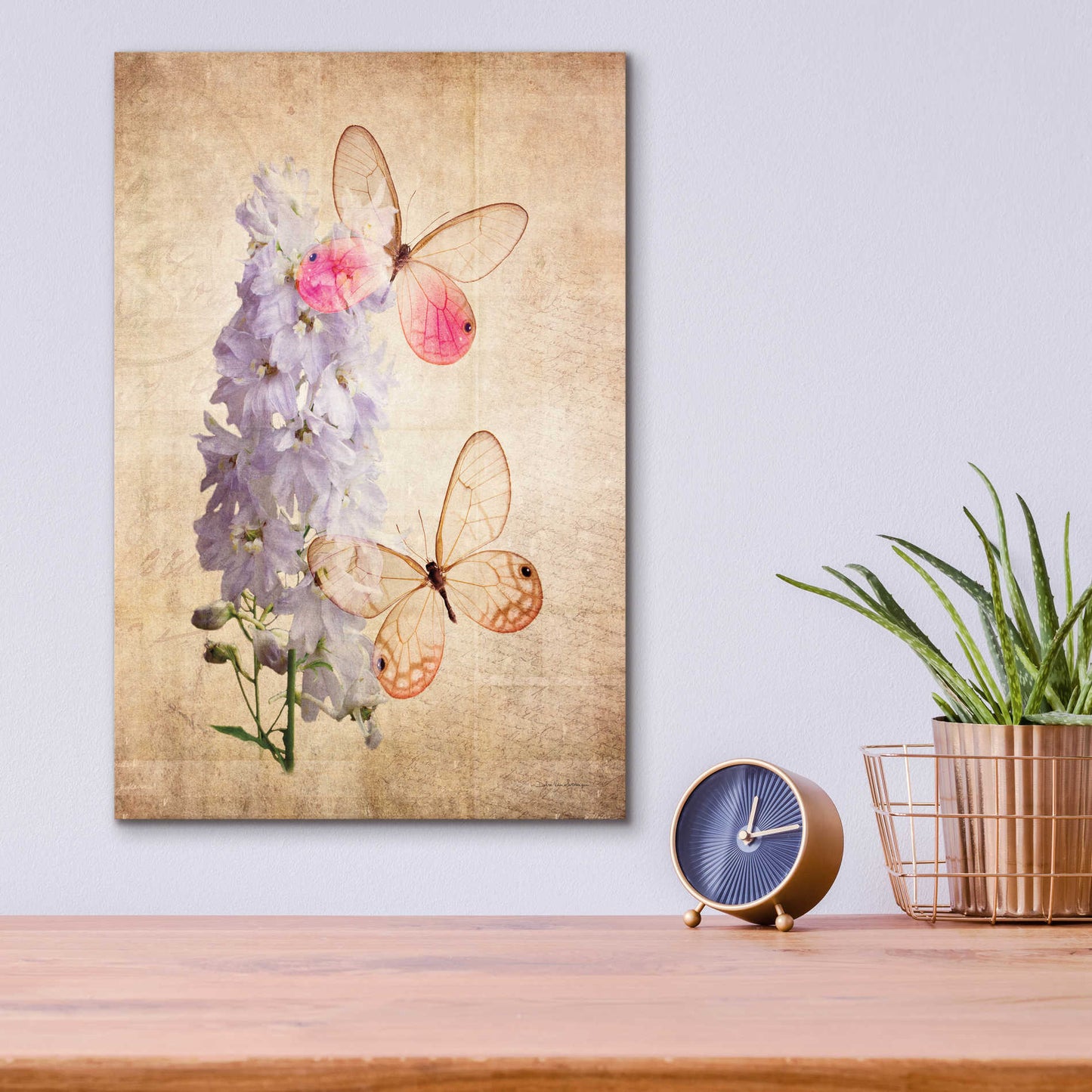 Epic Art 'Butterfly Botanical I' by Debra Van Swearingen, Acrylic Glass Wall Art,12x16