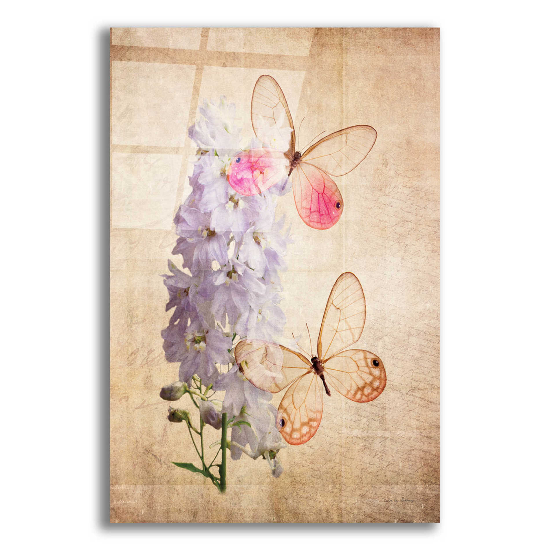 Epic Art 'Butterfly Botanical I' by Debra Van Swearingen, Acrylic Glass Wall Art,12x16