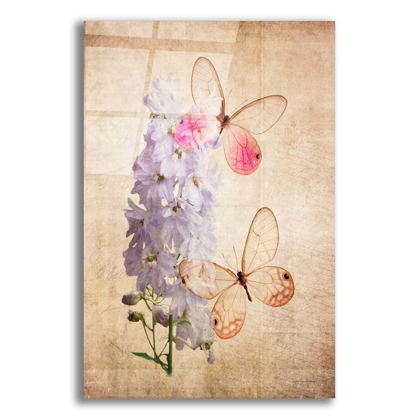 Epic Art 'Butterfly Botanical I' by Debra Van Swearingen, Acrylic Glass Wall Art,16x24