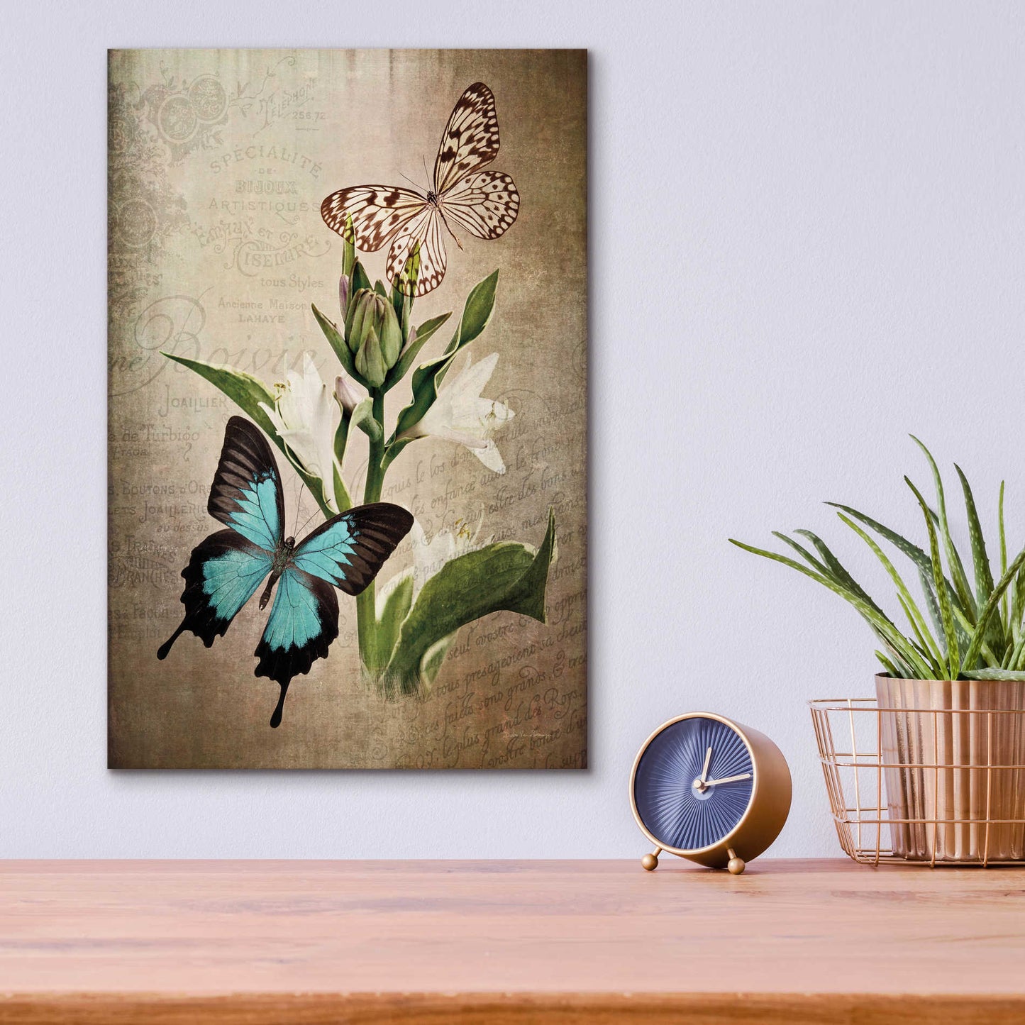 Epic Art 'Butterfly Botanical II' by Debra Van Swearingen, Acrylic Glass Wall Art,12x16