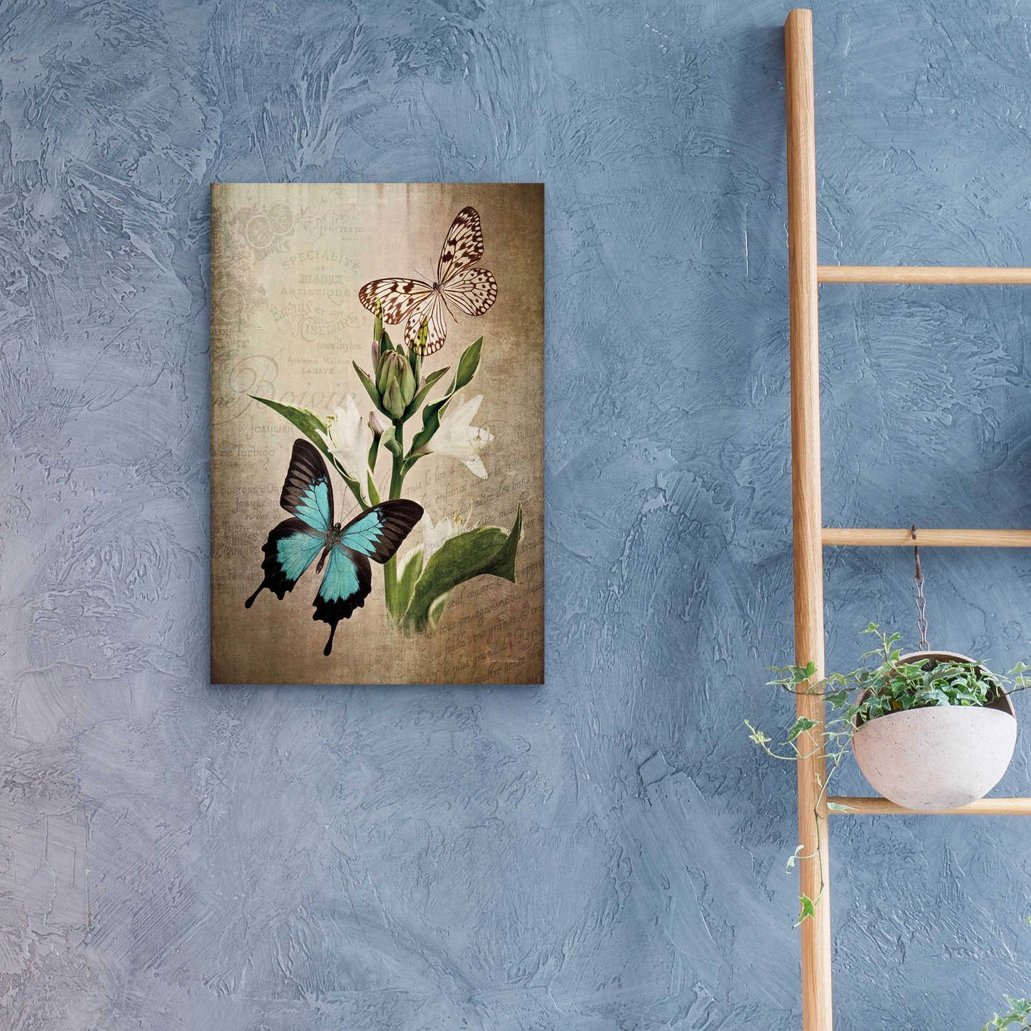 Epic Art 'Butterfly Botanical II' by Debra Van Swearingen, Acrylic Glass Wall Art,16x24