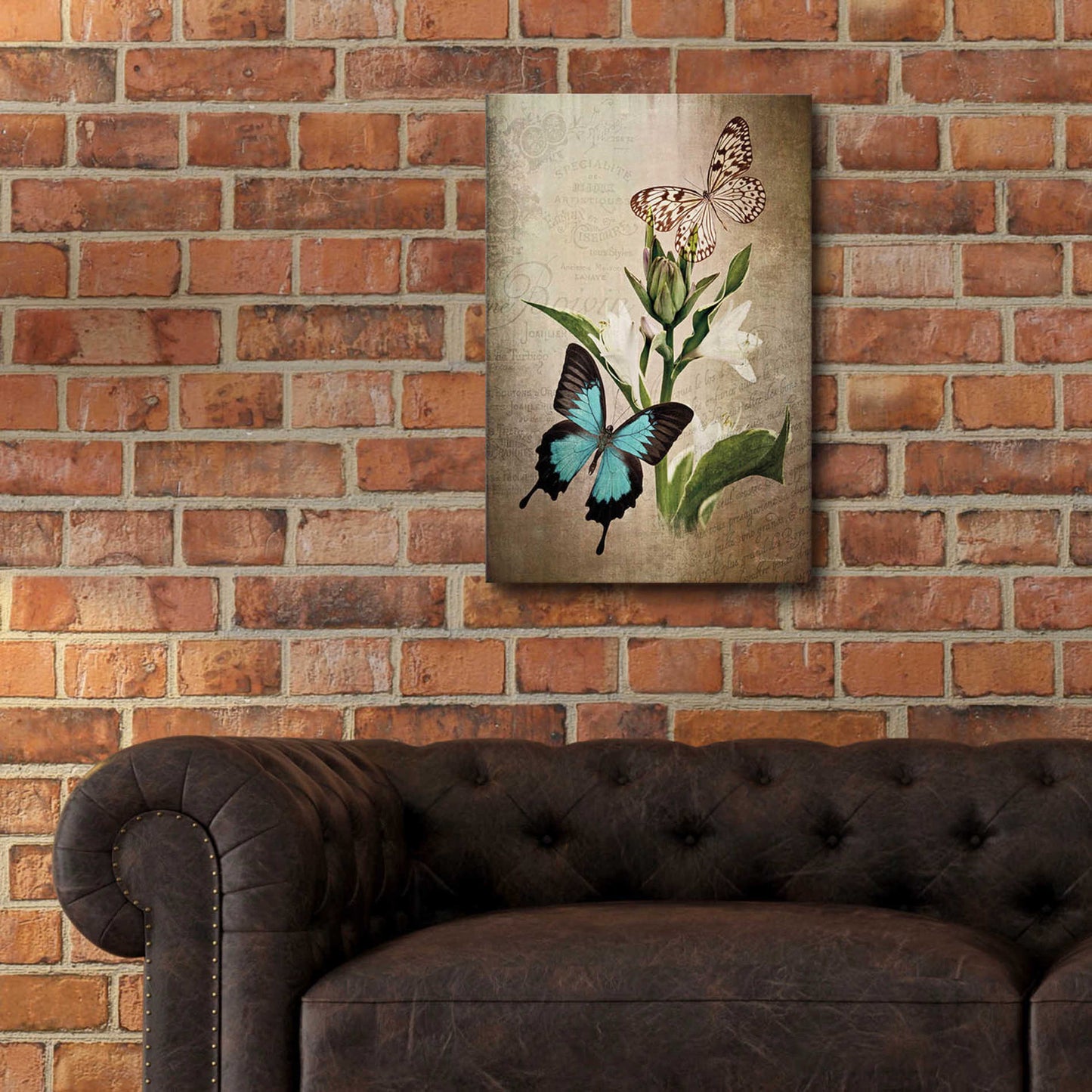 Epic Art 'Butterfly Botanical II' by Debra Van Swearingen, Acrylic Glass Wall Art,16x24