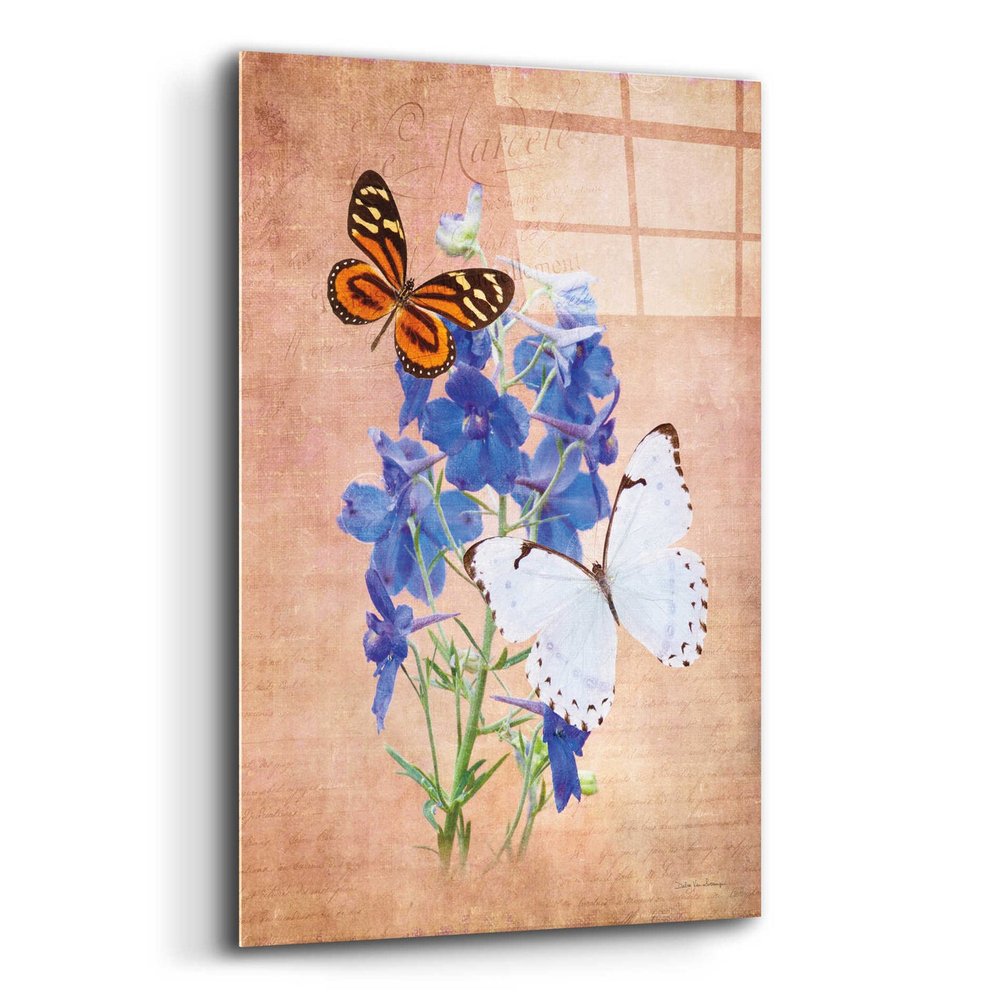 Epic Art 'Butterfly Botanical III' by Debra Van Swearingen, Acrylic Glass Wall Art,12x16