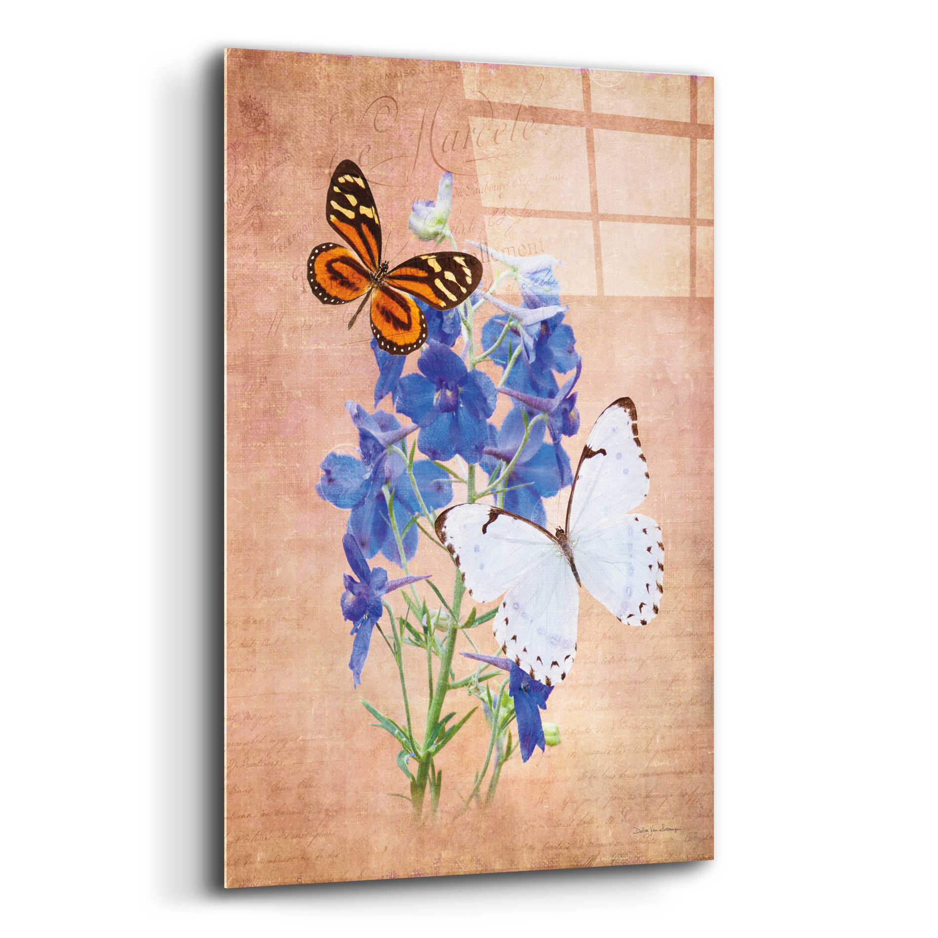 Epic Art 'Butterfly Botanical III' by Debra Van Swearingen, Acrylic Glass Wall Art,16x24