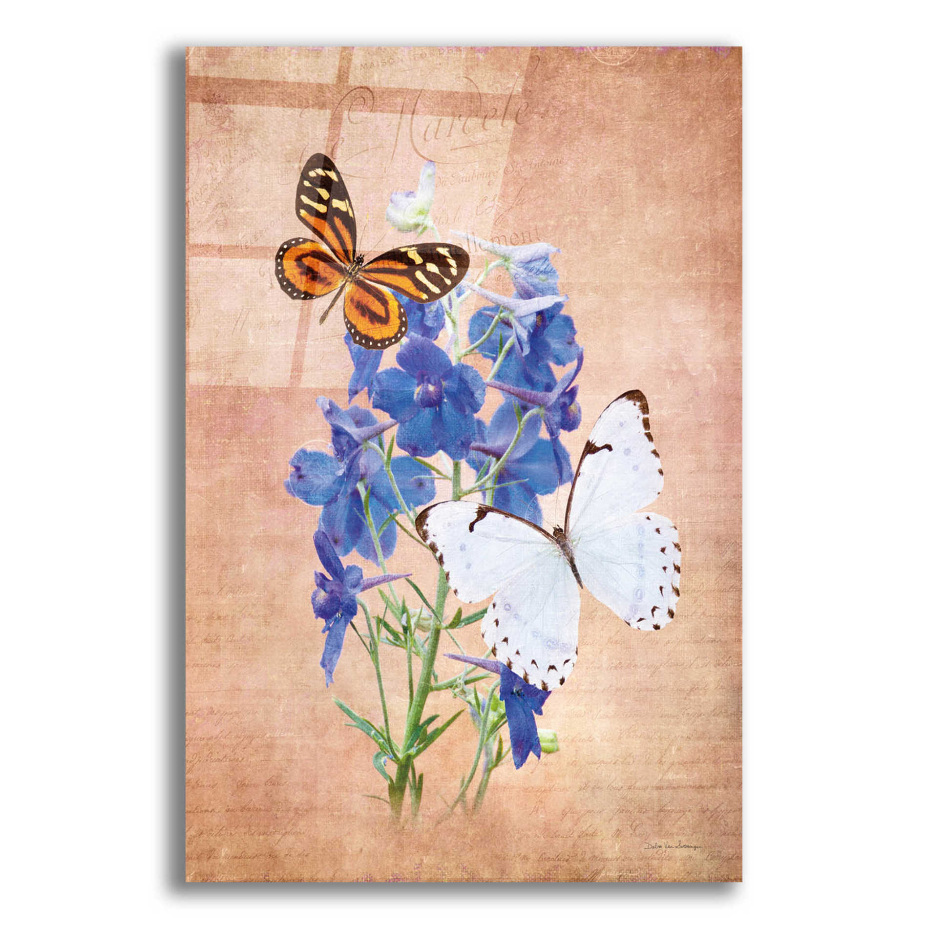Epic Art 'Butterfly Botanical III' by Debra Van Swearingen, Acrylic Glass Wall Art,16x24