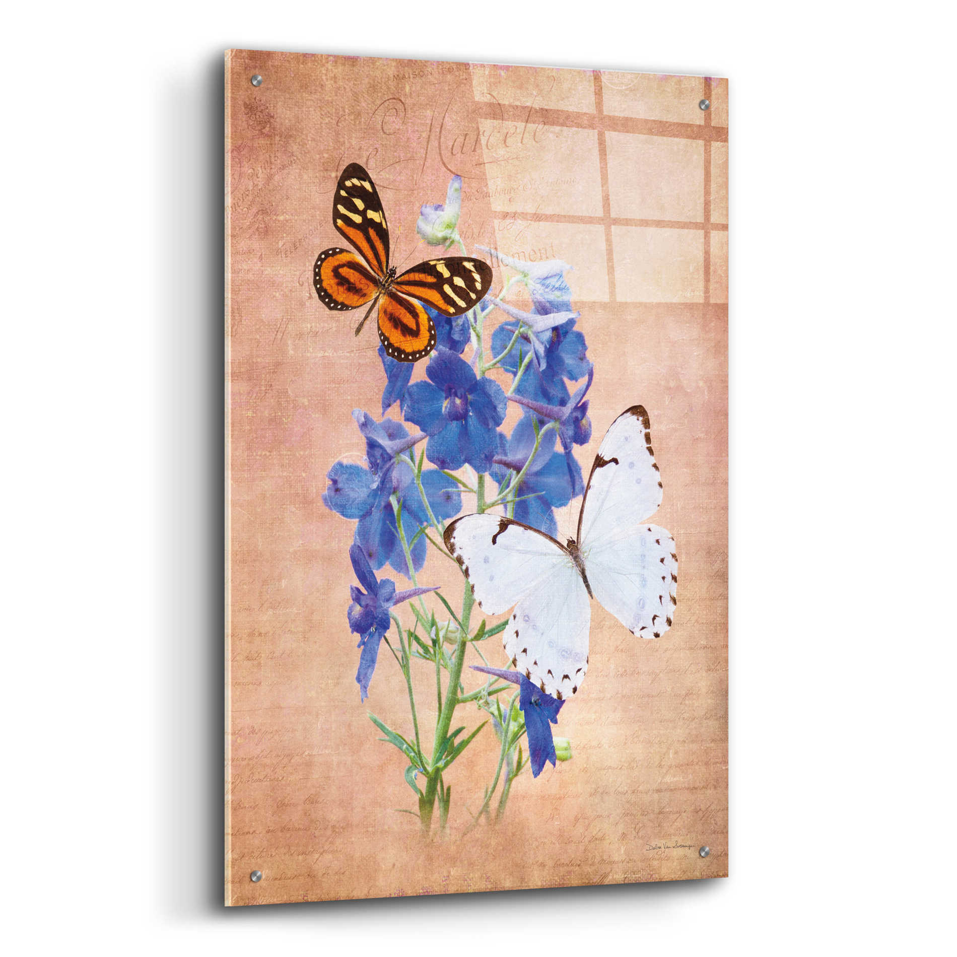 Epic Art 'Butterfly Botanical III' by Debra Van Swearingen, Acrylic Glass Wall Art,24x36