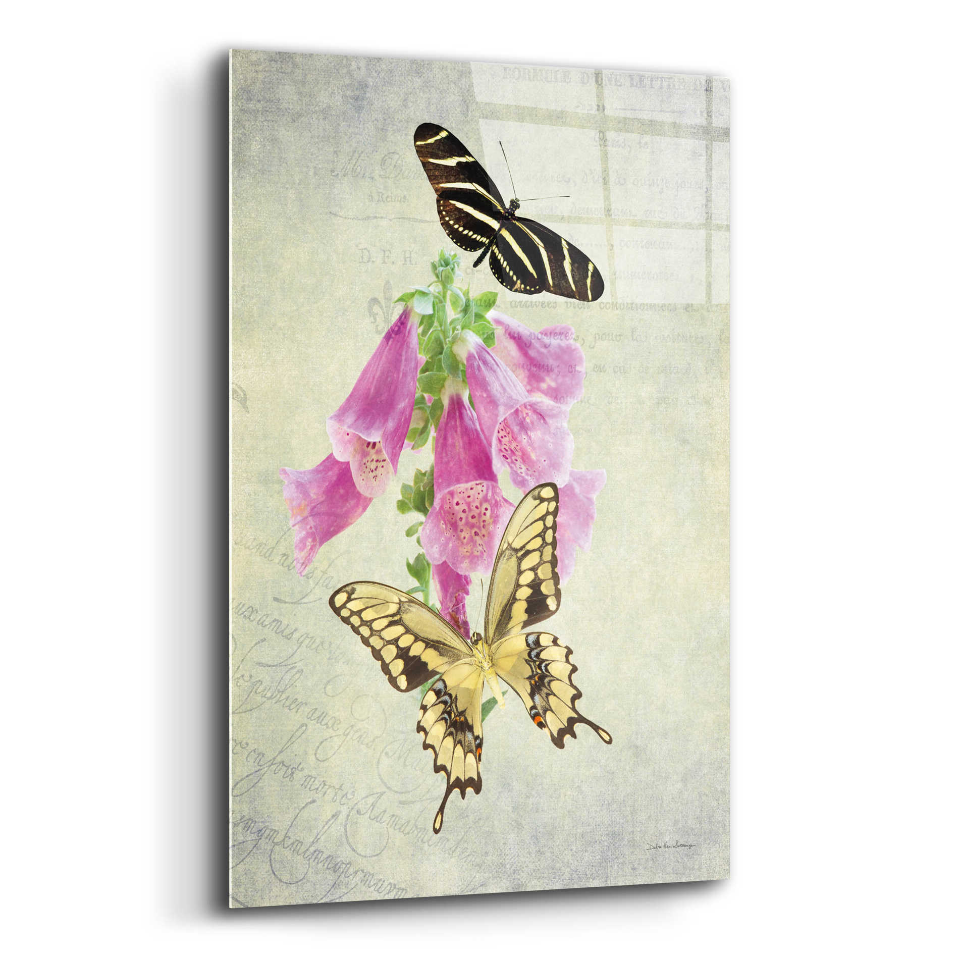 Epic Art 'Butterfly Botanical IV' by Debra Van Swearingen, Acrylic Glass Wall Art,16x24