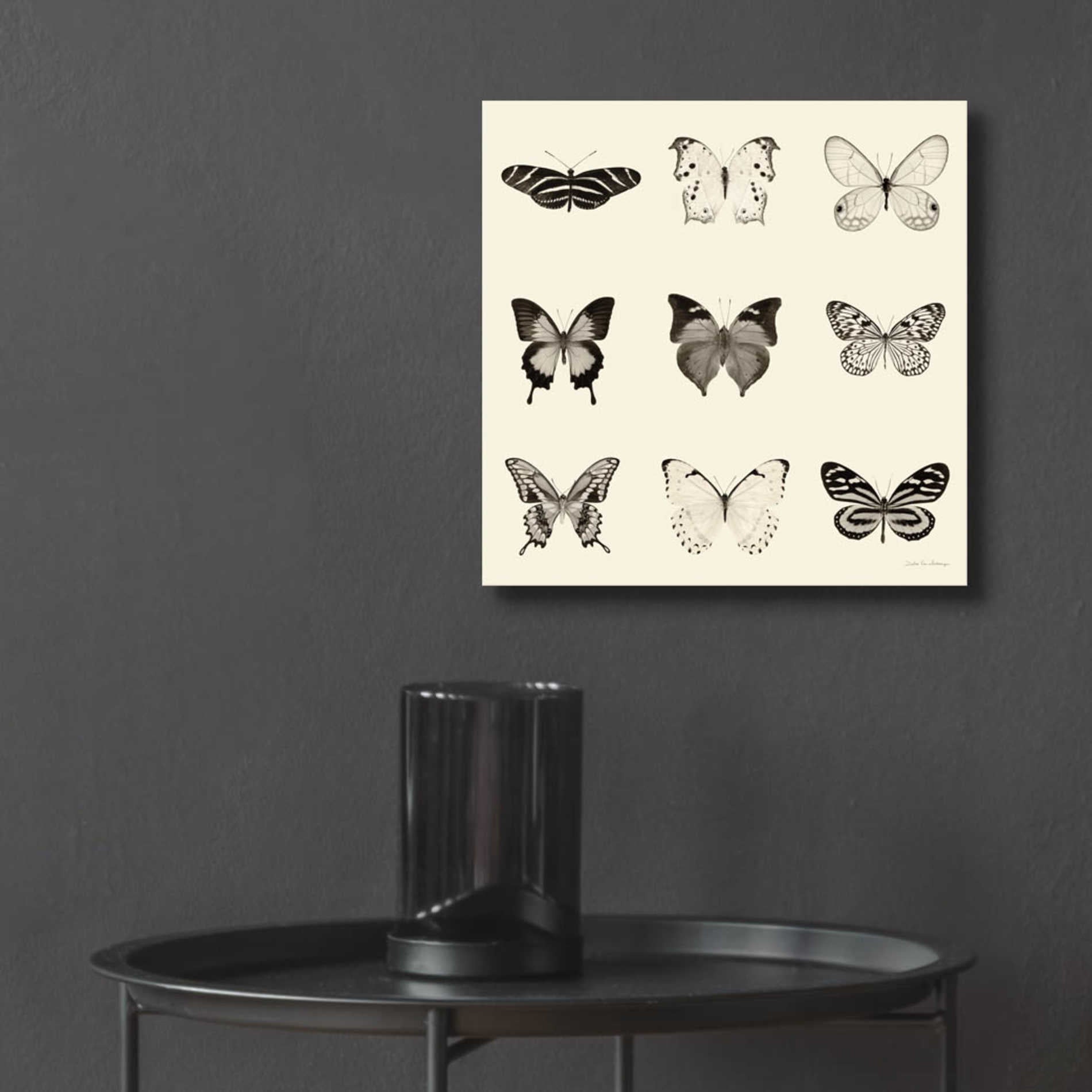 Epic Art 'Butterfly BW 9 Patch' by Debra Van Swearingen, Acrylic Glass Wall Art,12x12