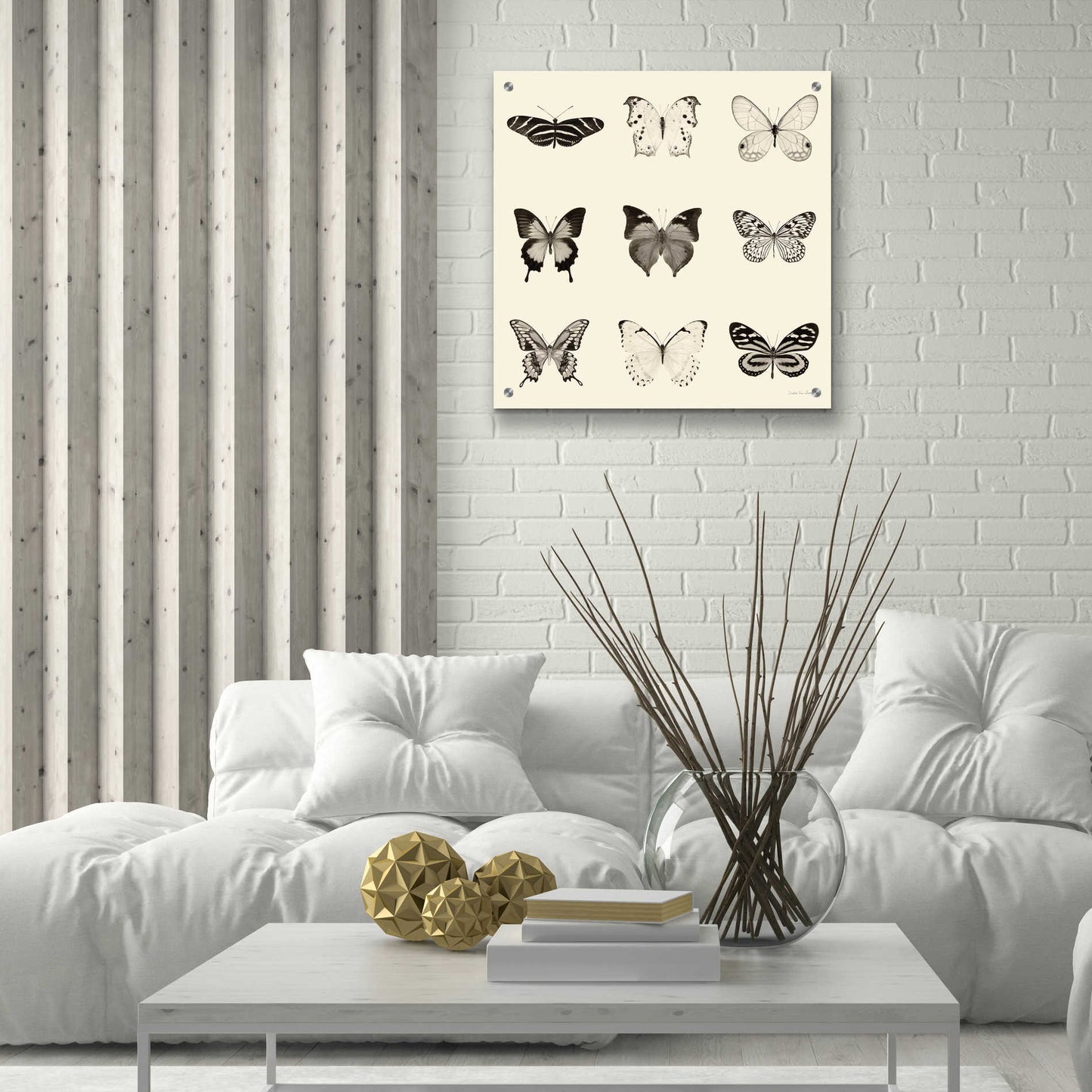 Epic Art 'Butterfly BW 9 Patch' by Debra Van Swearingen, Acrylic Glass Wall Art,24x24