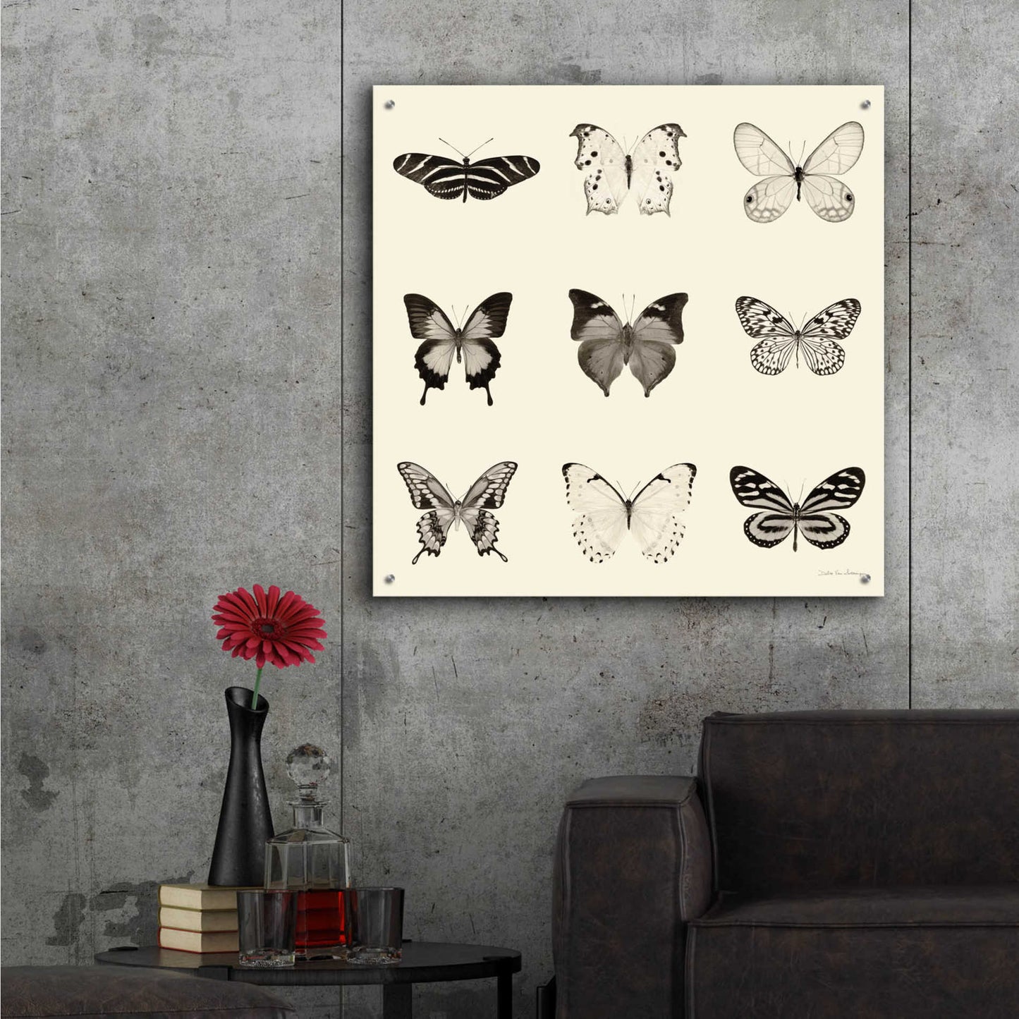 Epic Art 'Butterfly BW 9 Patch' by Debra Van Swearingen, Acrylic Glass Wall Art,36x36