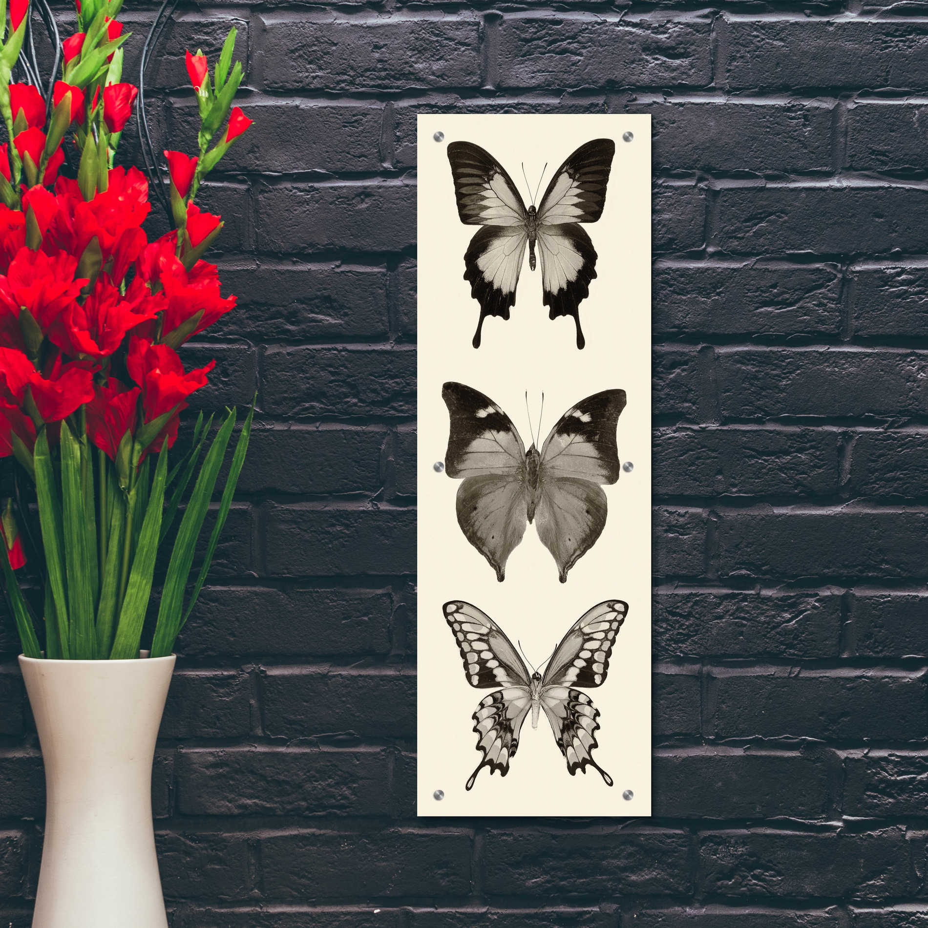 Epic Art 'Butterfly BW Panel I' by Debra Van Swearingen, Acrylic Glass Wall Art,12x36