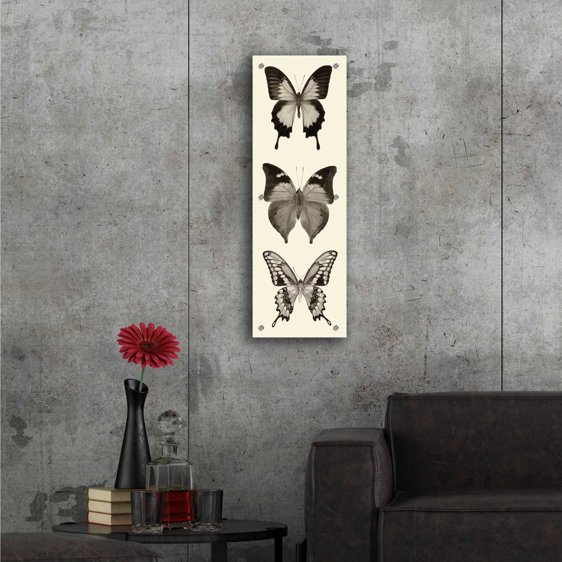 Epic Art 'Butterfly BW Panel I' by Debra Van Swearingen, Acrylic Glass Wall Art,12x36