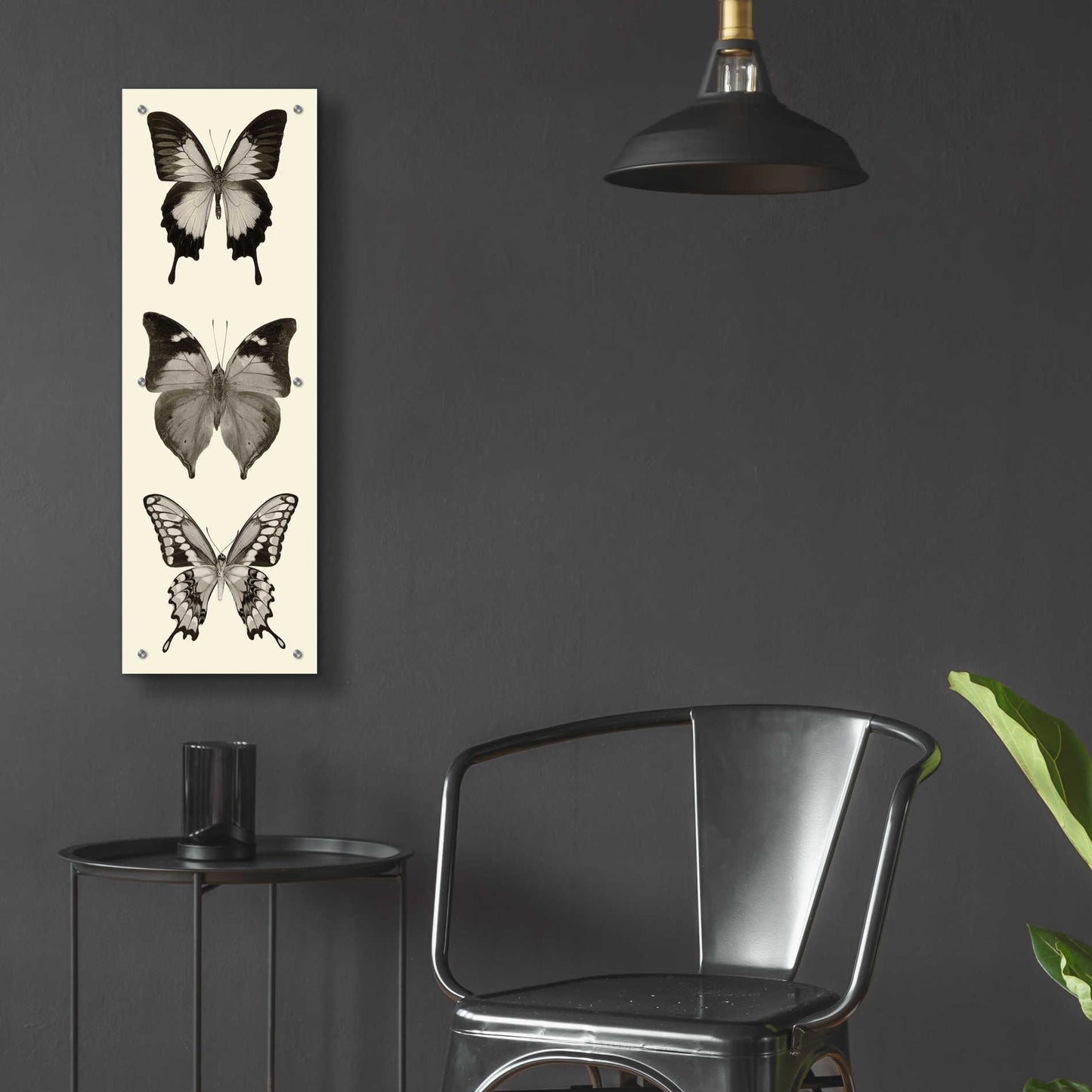 Epic Art 'Butterfly BW Panel I' by Debra Van Swearingen, Acrylic Glass Wall Art,12x36