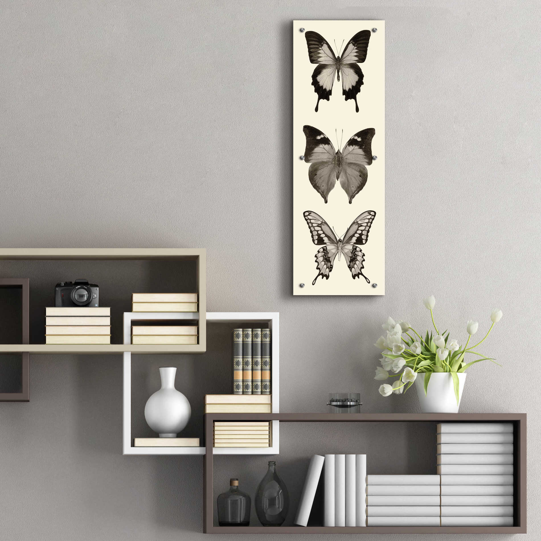 Epic Art 'Butterfly BW Panel I' by Debra Van Swearingen, Acrylic Glass Wall Art,12x36